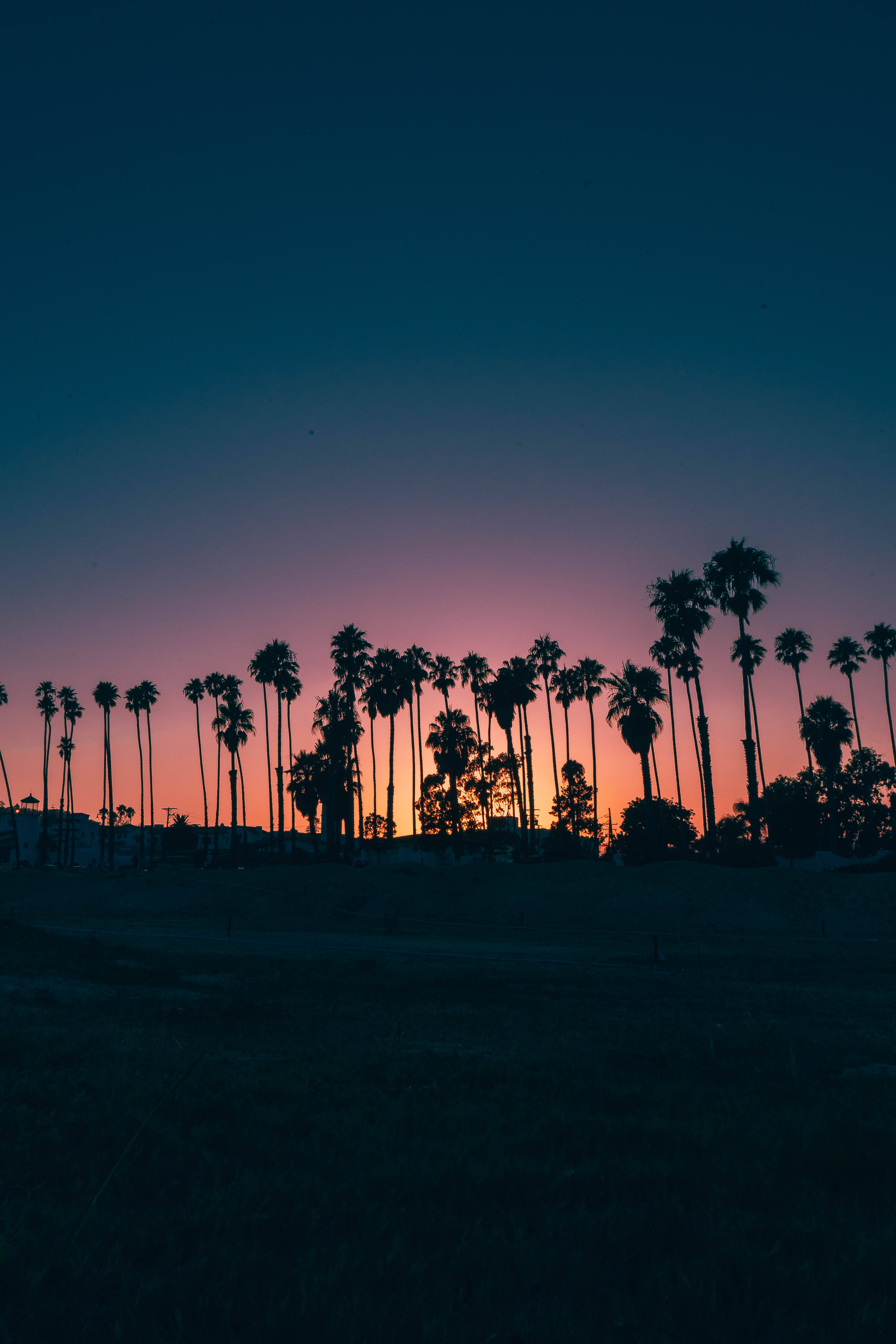 palm trees, sunset, gradient sky, 5K Phone Wallpaper