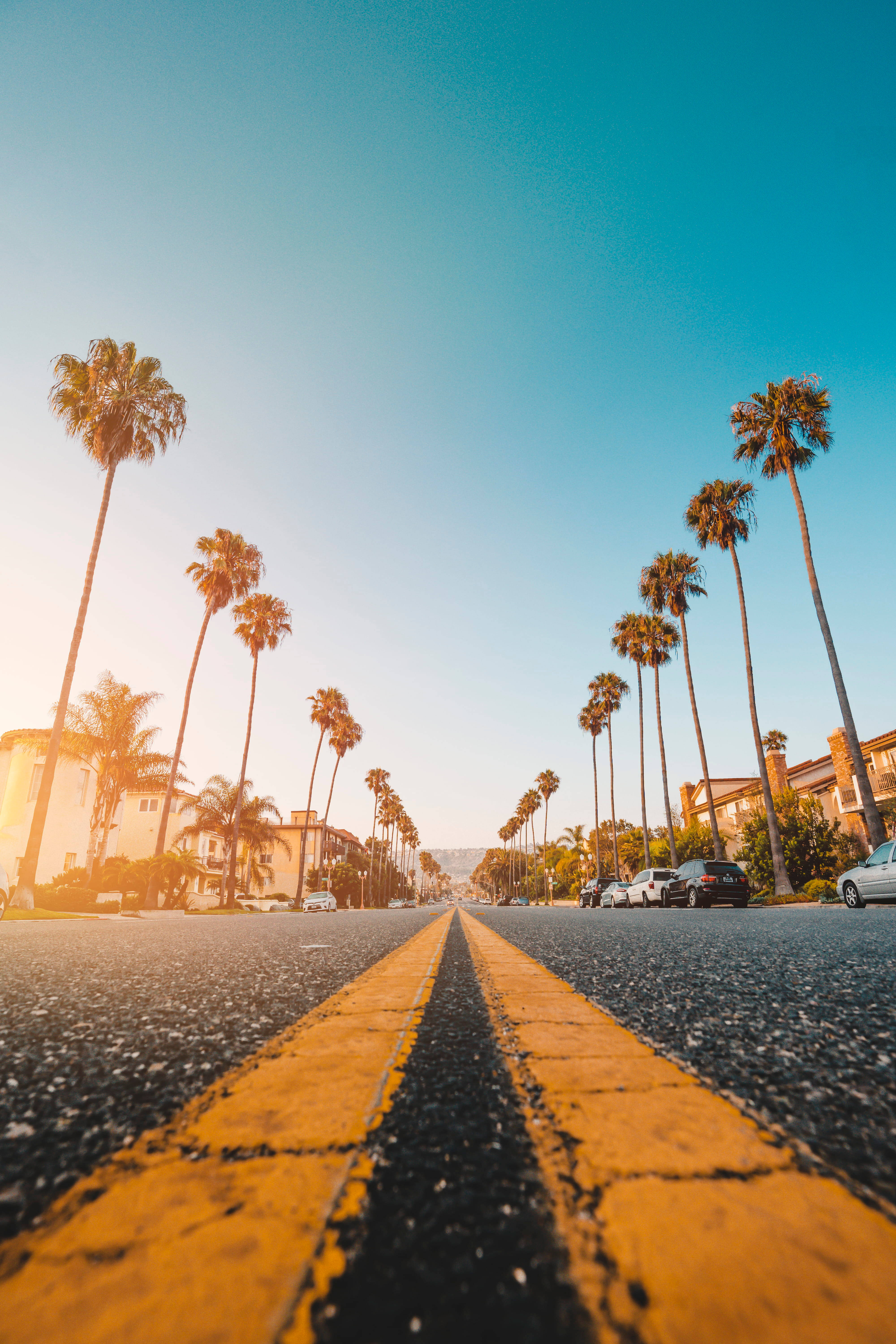 palm tree, sunset, road, 5K Phone Wallpaper