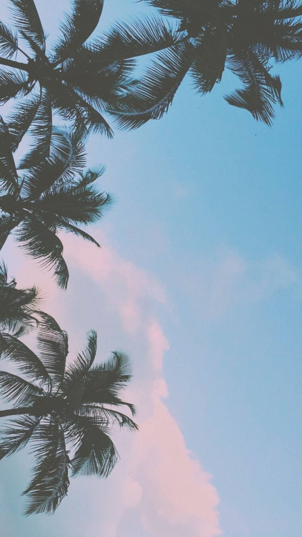 pastel iPad, palm tree silhouettes, pink clouds, HD Phone Wallpaper