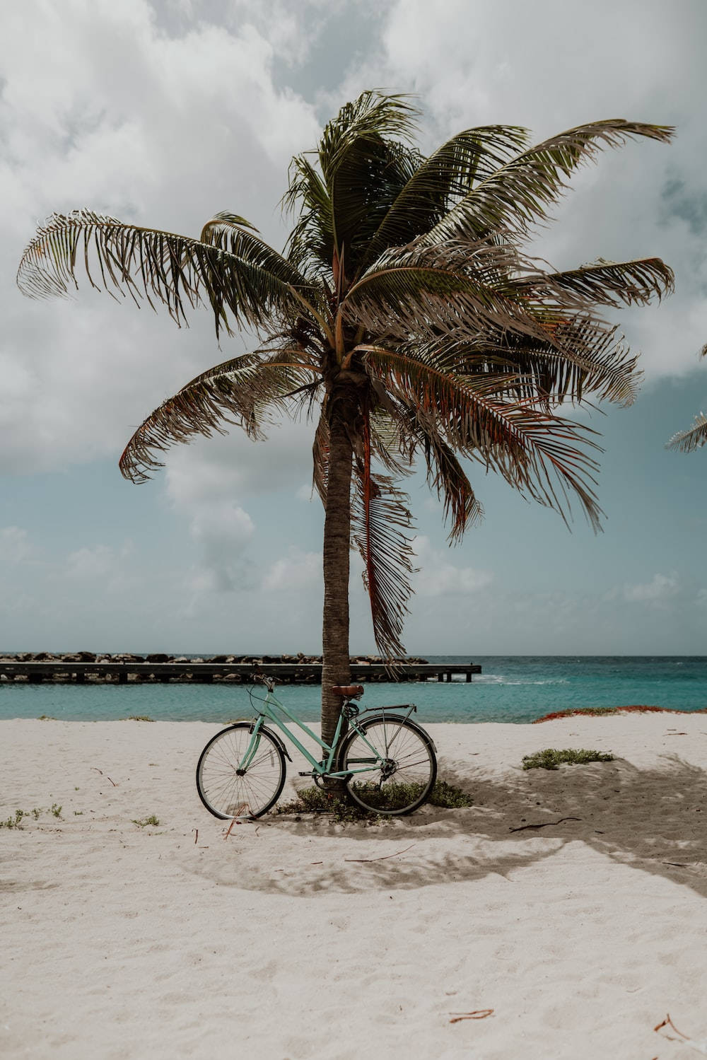 mint green bicycle, palm tree, white sandy beach, HD Phone Wallpaper