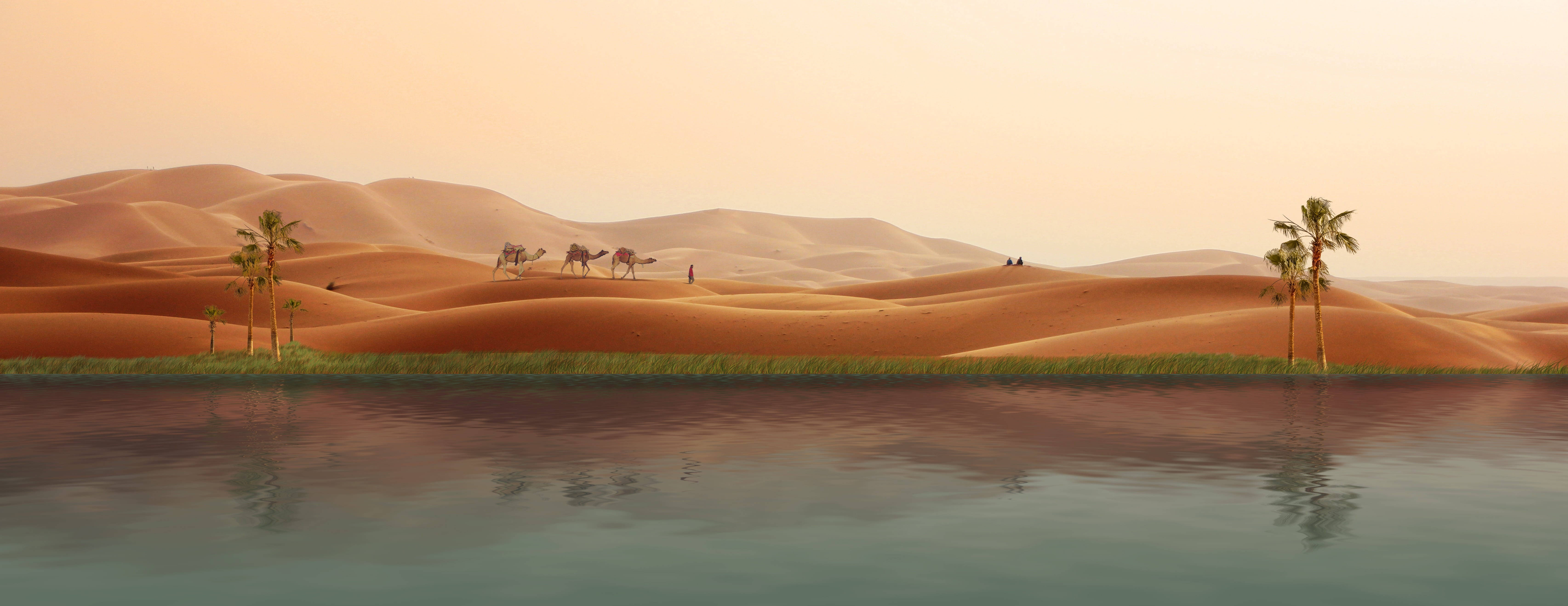 palm tree, sunset, desert, 5K Desktop Wallpaper