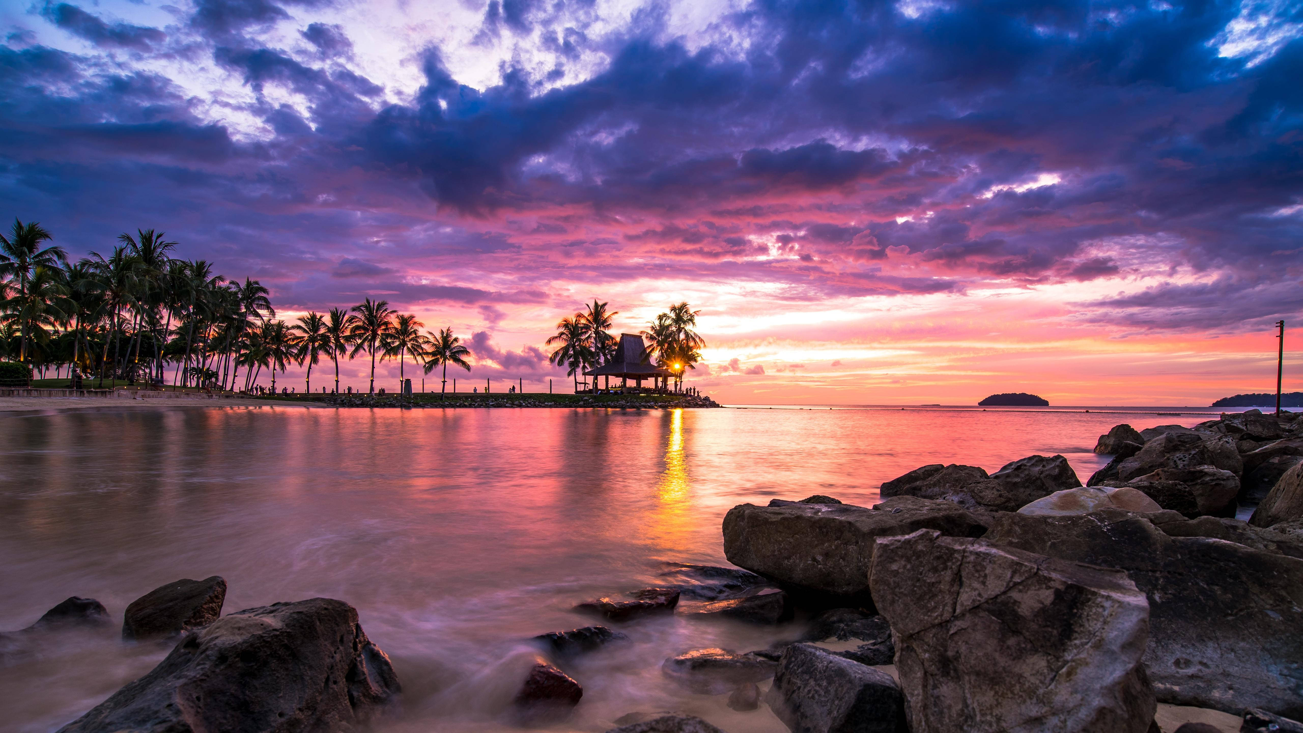 sunset, beach, palm trees, 5K Desktop Wallpaper