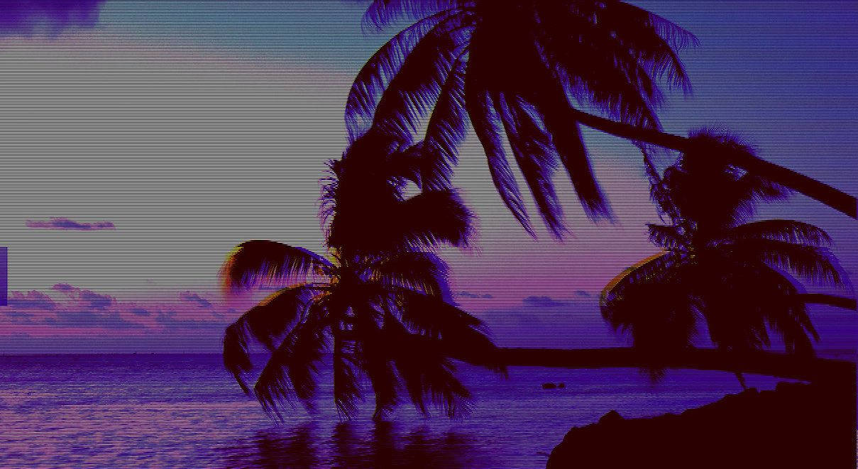 palm trees, vibrant purple and pink sunset, calm ocean waters, SD Desktop Wallpaper