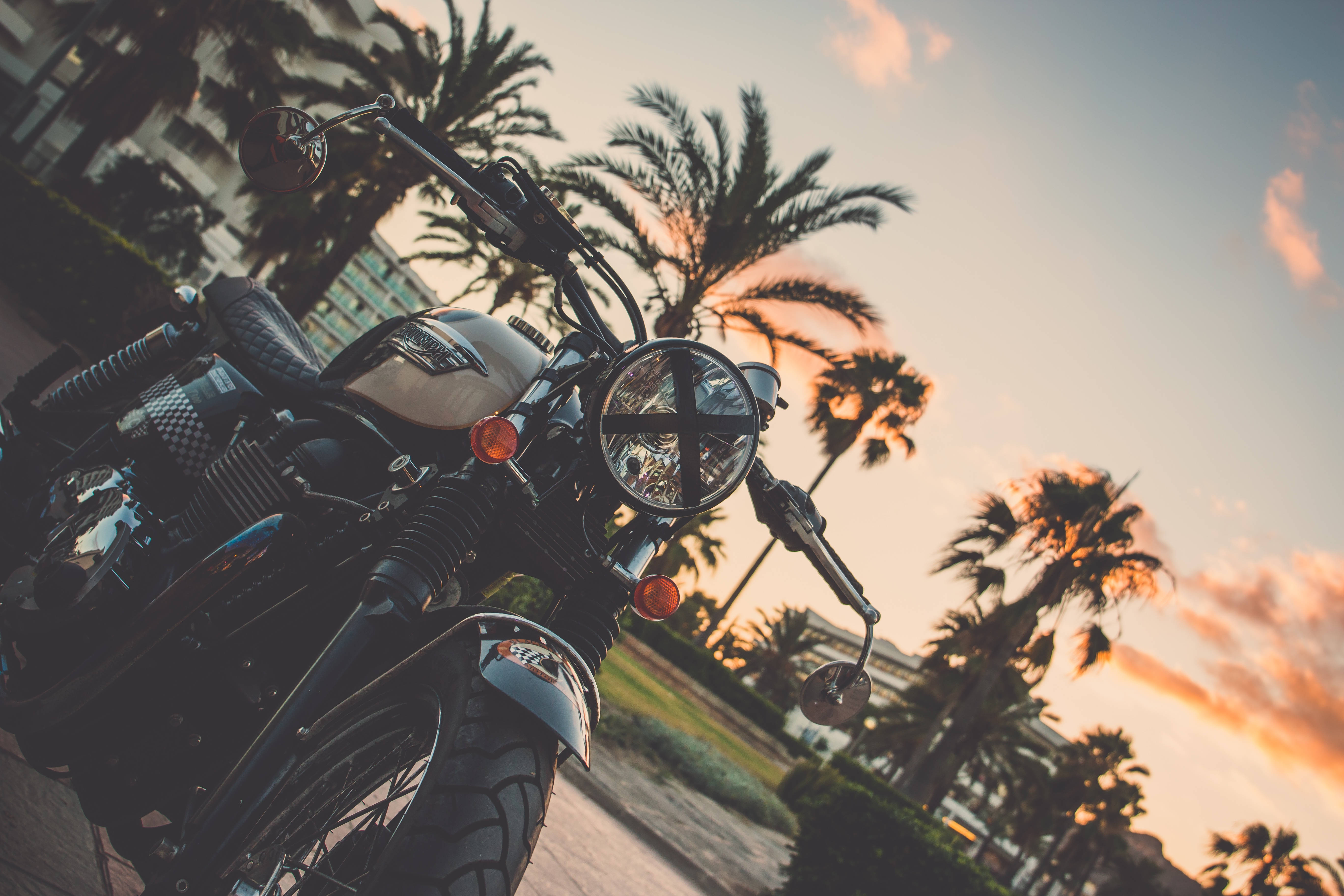 black cruiser motorcycle, palm trees, sunset, 5K Desktop Wallpaper