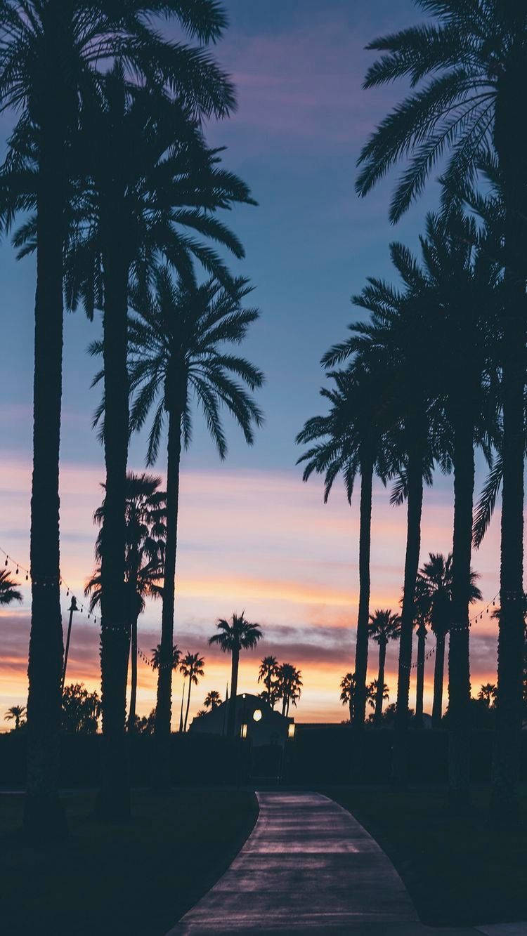 palm trees, twilight sky, soft purples, HD Phone Wallpaper