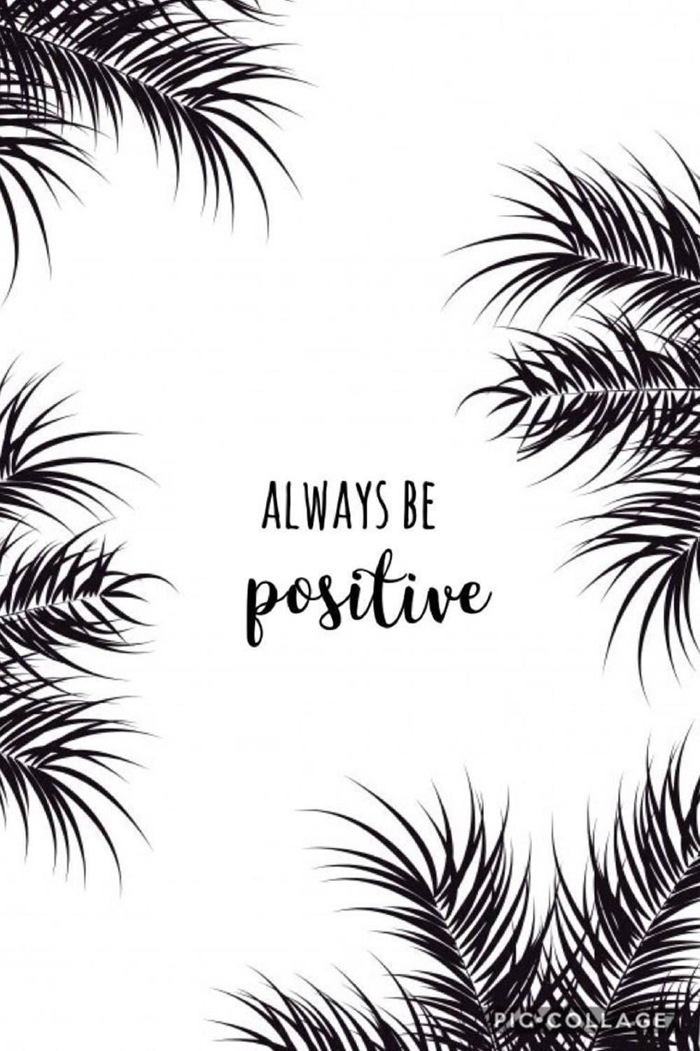 white background, black palm fronds, elegant script, HD Phone Wallpaper