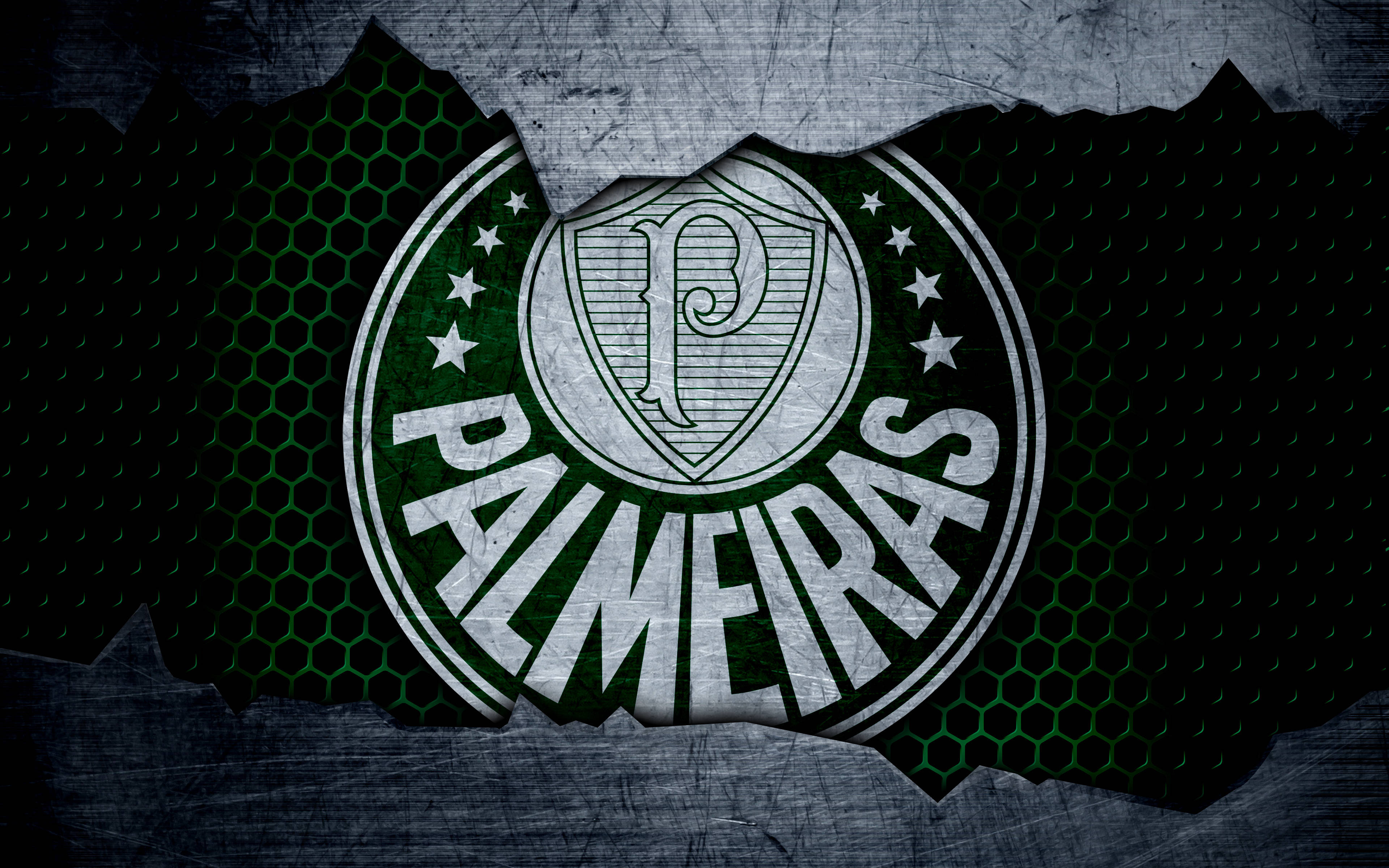 Palmeiras, torn metal texture, green and silver, 4K Desktop Wallpaper