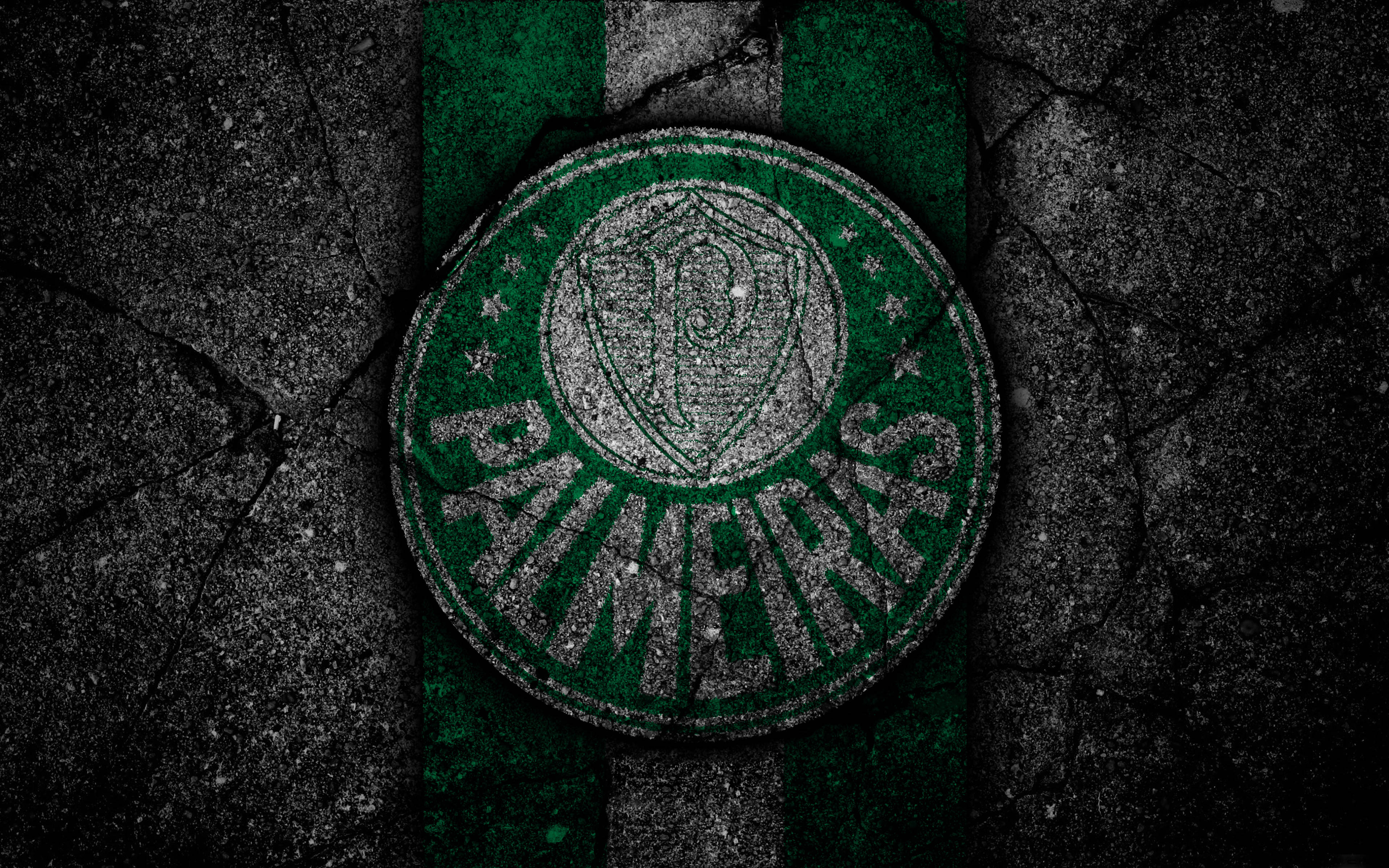 Palmeiras, green and black, cracked concrete, 4K Desktop Wallpaper