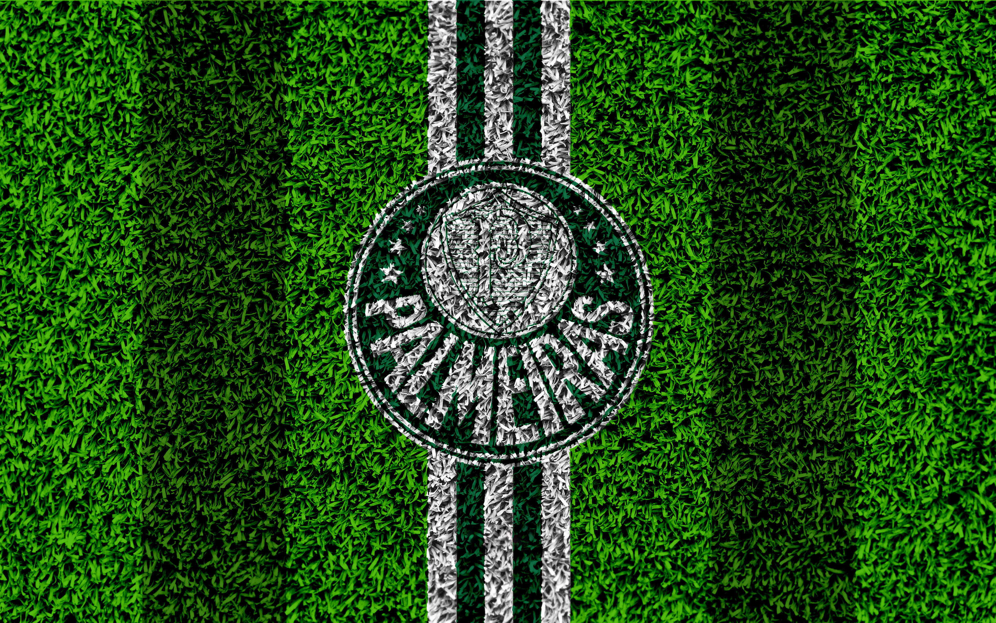 Palmeiras, vibrant green soccer field, white stripes, 4K Desktop Wallpaper