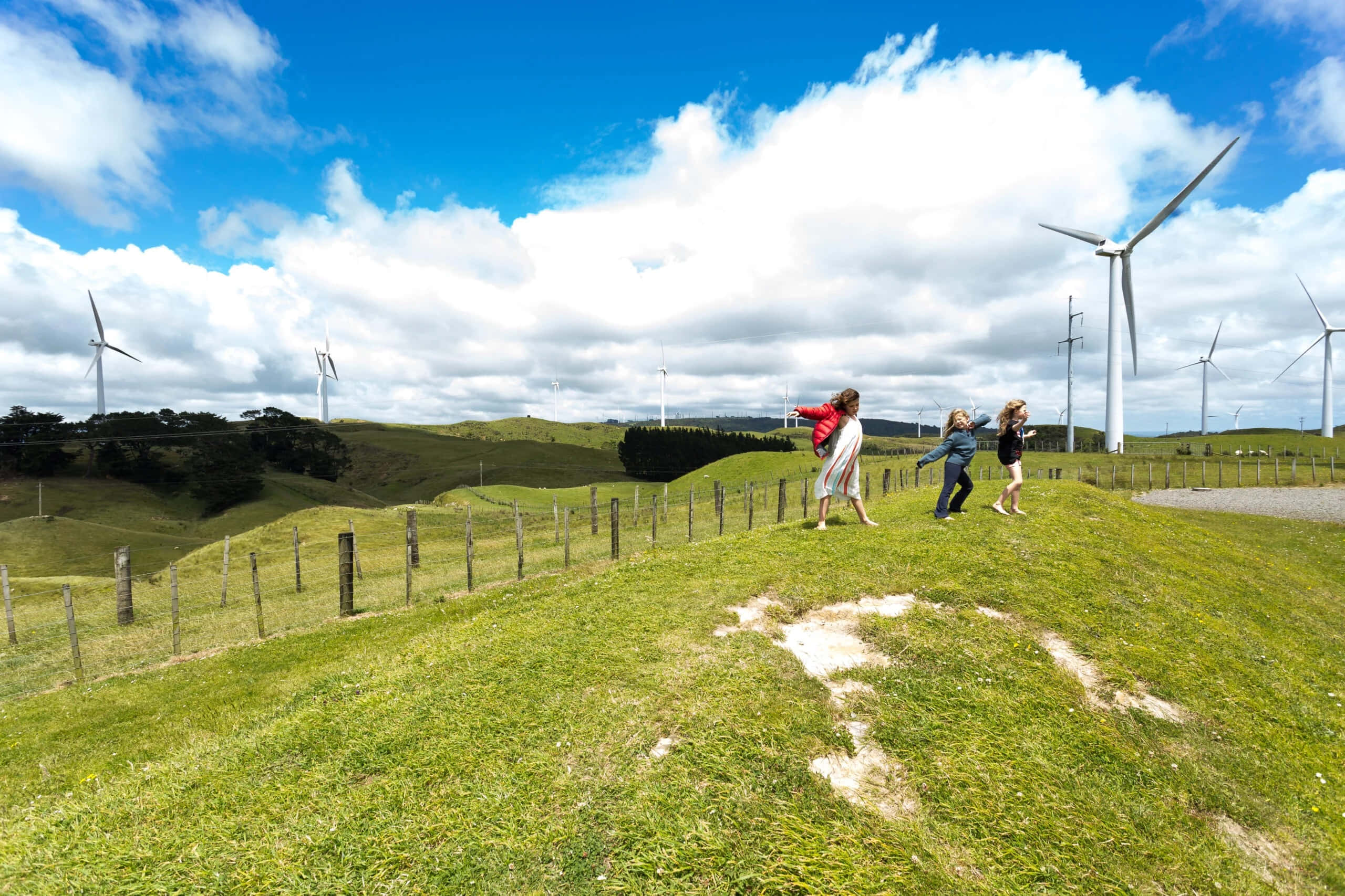 Palmerston North, wind turbines, sunlit grassy hill, 2K Desktop Wallpaper
