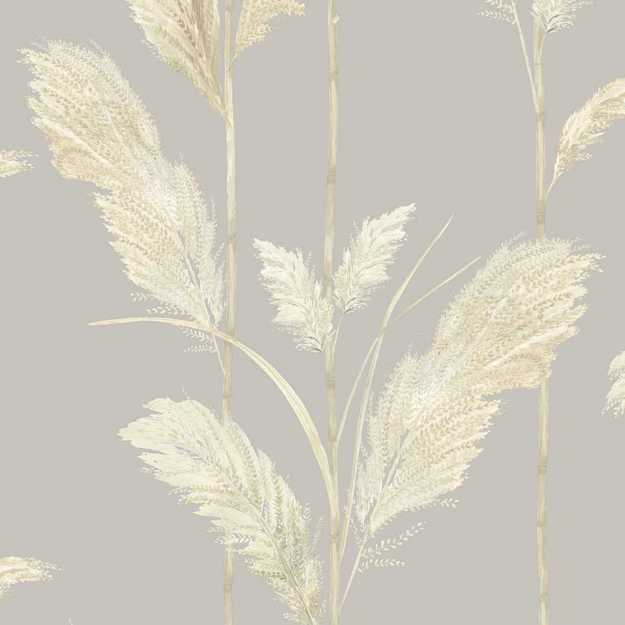 pampas grass, beige, gray, HD Desktop Wallpaper
