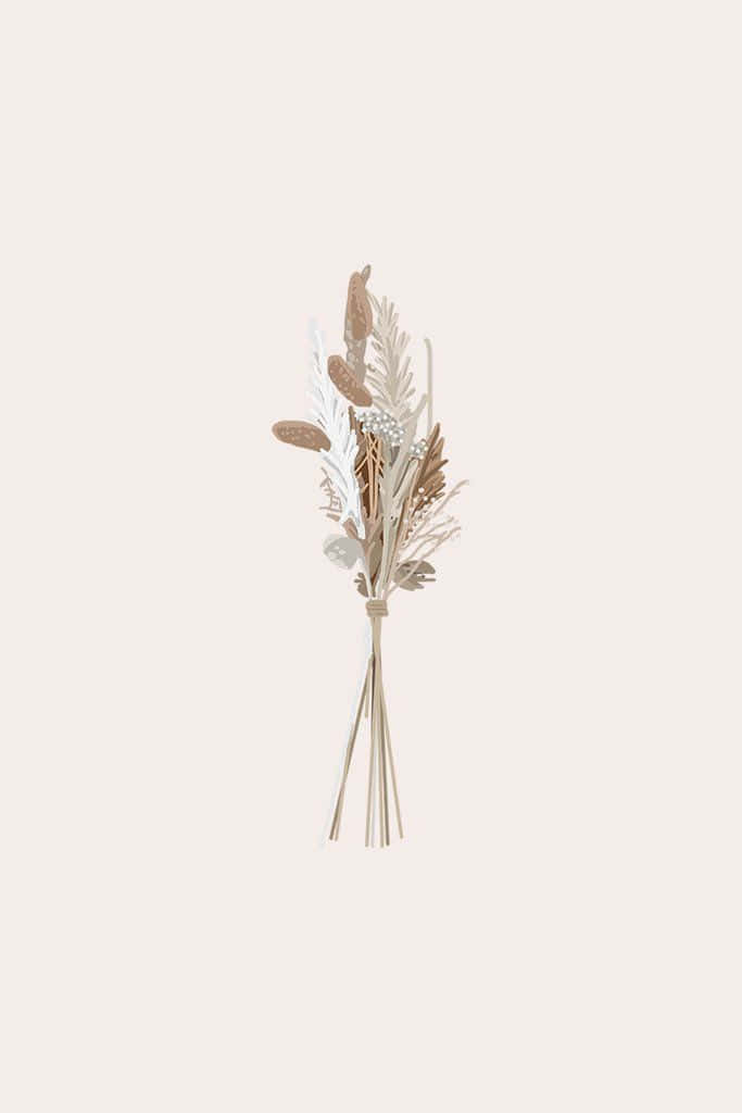 Pampas Grass, beige, white, SD Phone Wallpaper