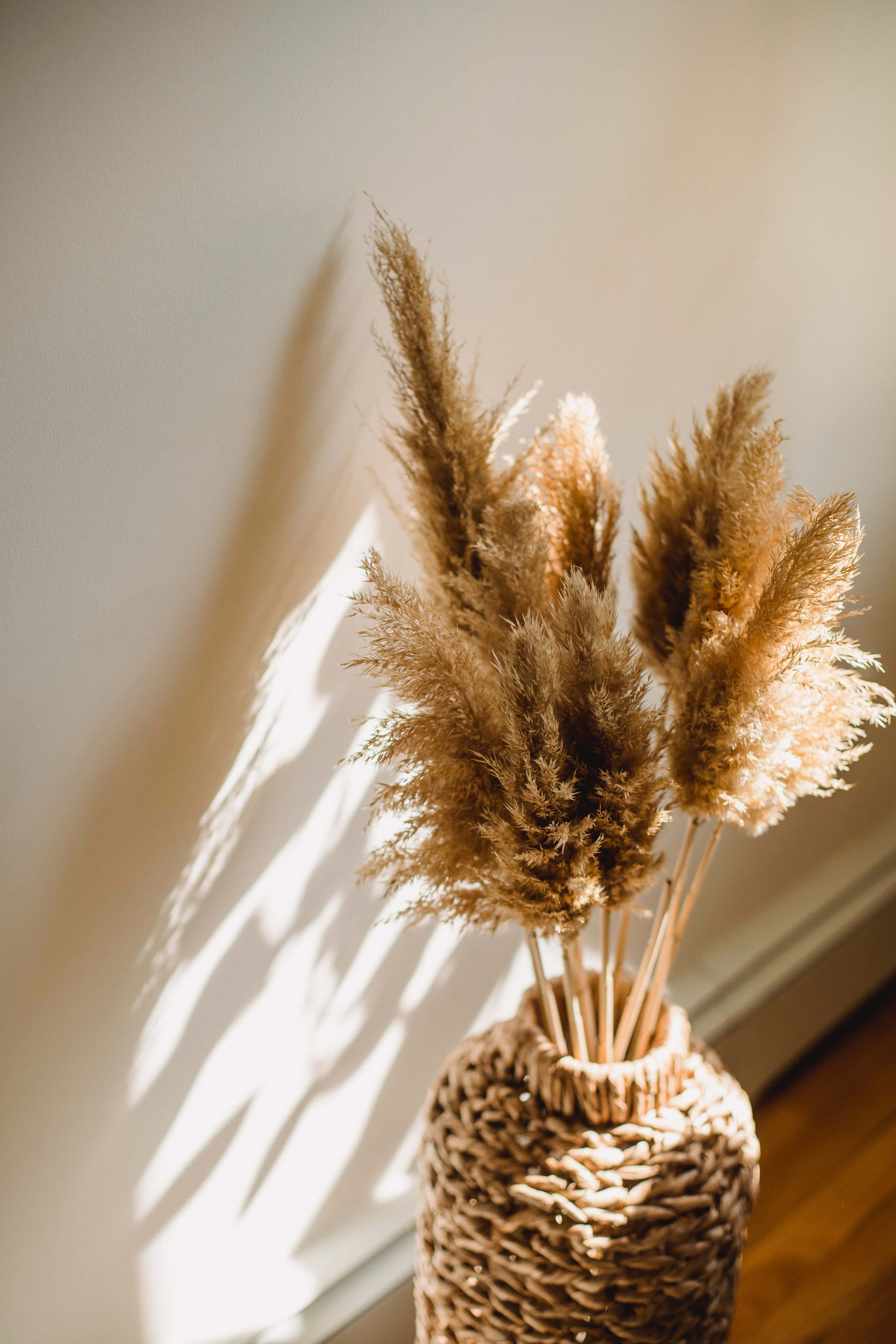 pampas grass, sunset, woven vase, 5K Phone Wallpaper