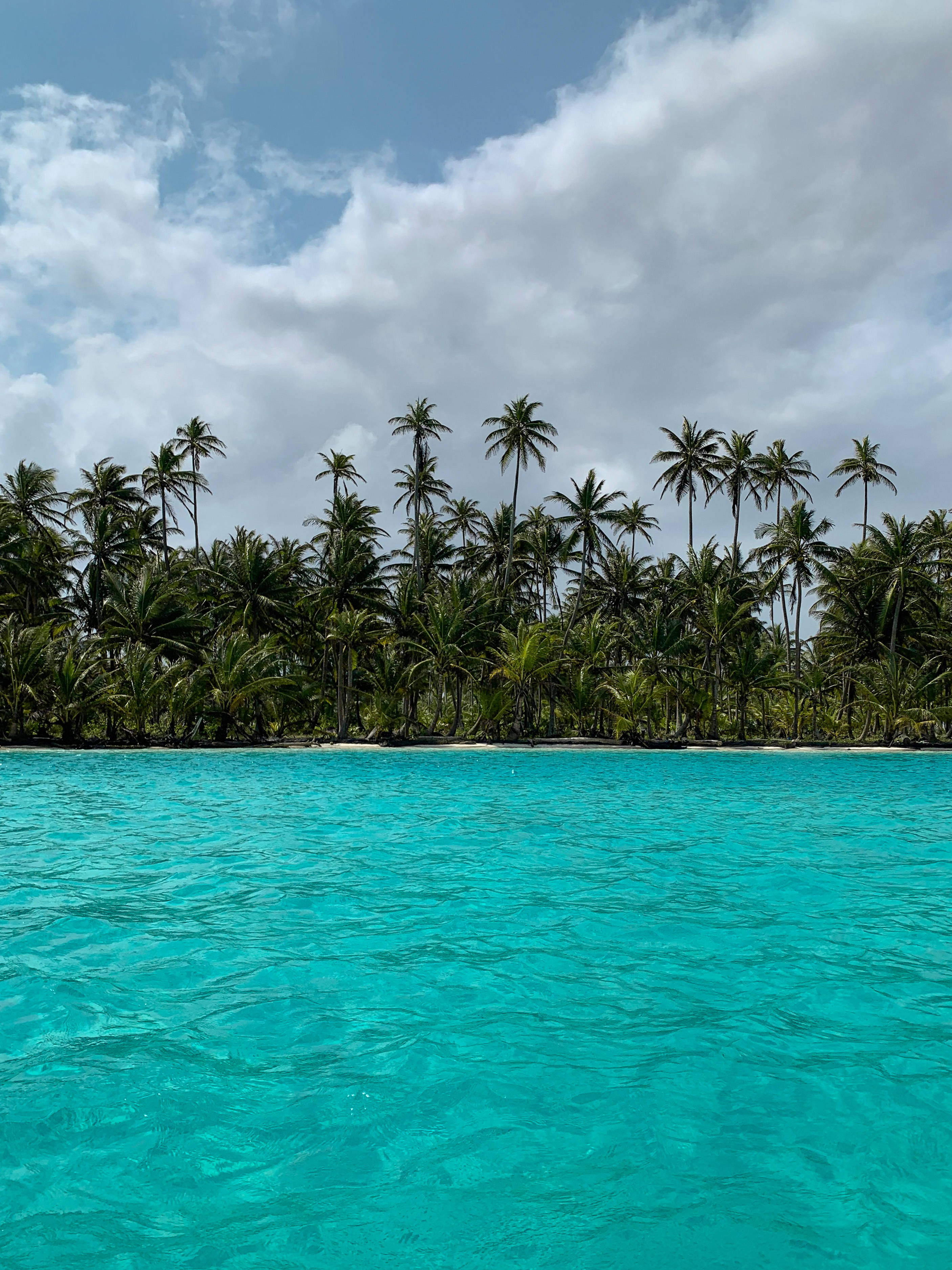 Panama, turquoise ocean, white sand shore, 2K Phone Wallpaper