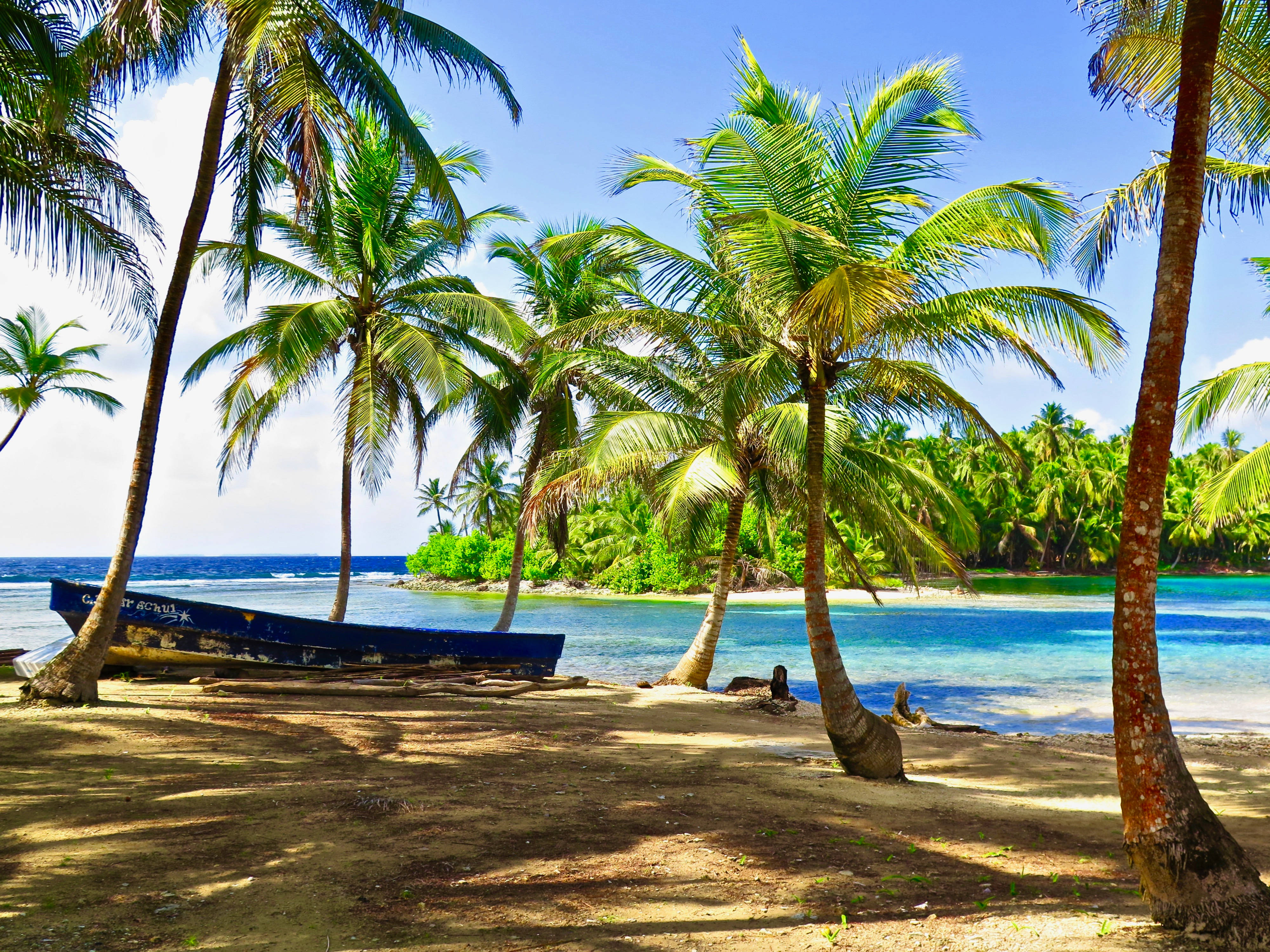 Panama, palm trees, turquoise waters, 4K Desktop Wallpaper