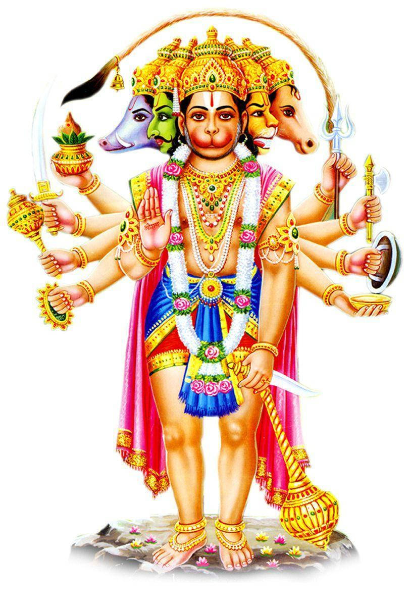 Panchmukhi Hanuman, Hindu deity, gold jewelry, SD Phone Wallpaper