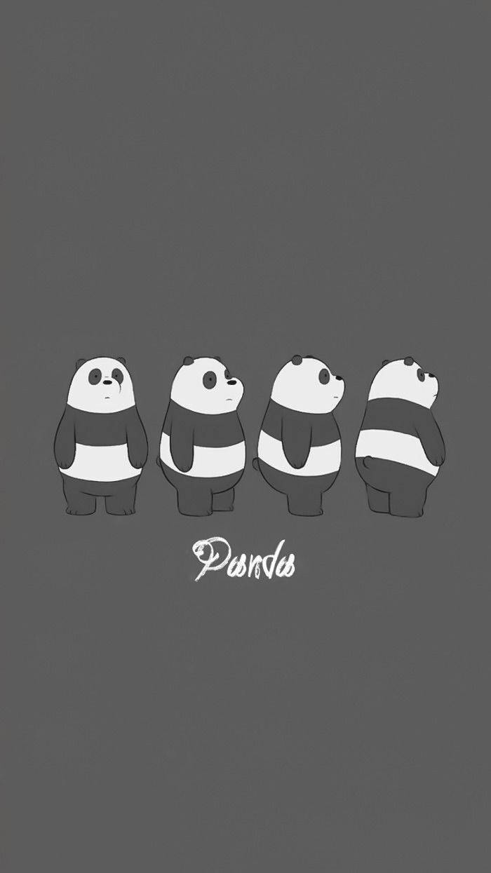 Panda We Bare Bears, four cute cartoon pandas, dark gray background, SD Phone Wallpaper