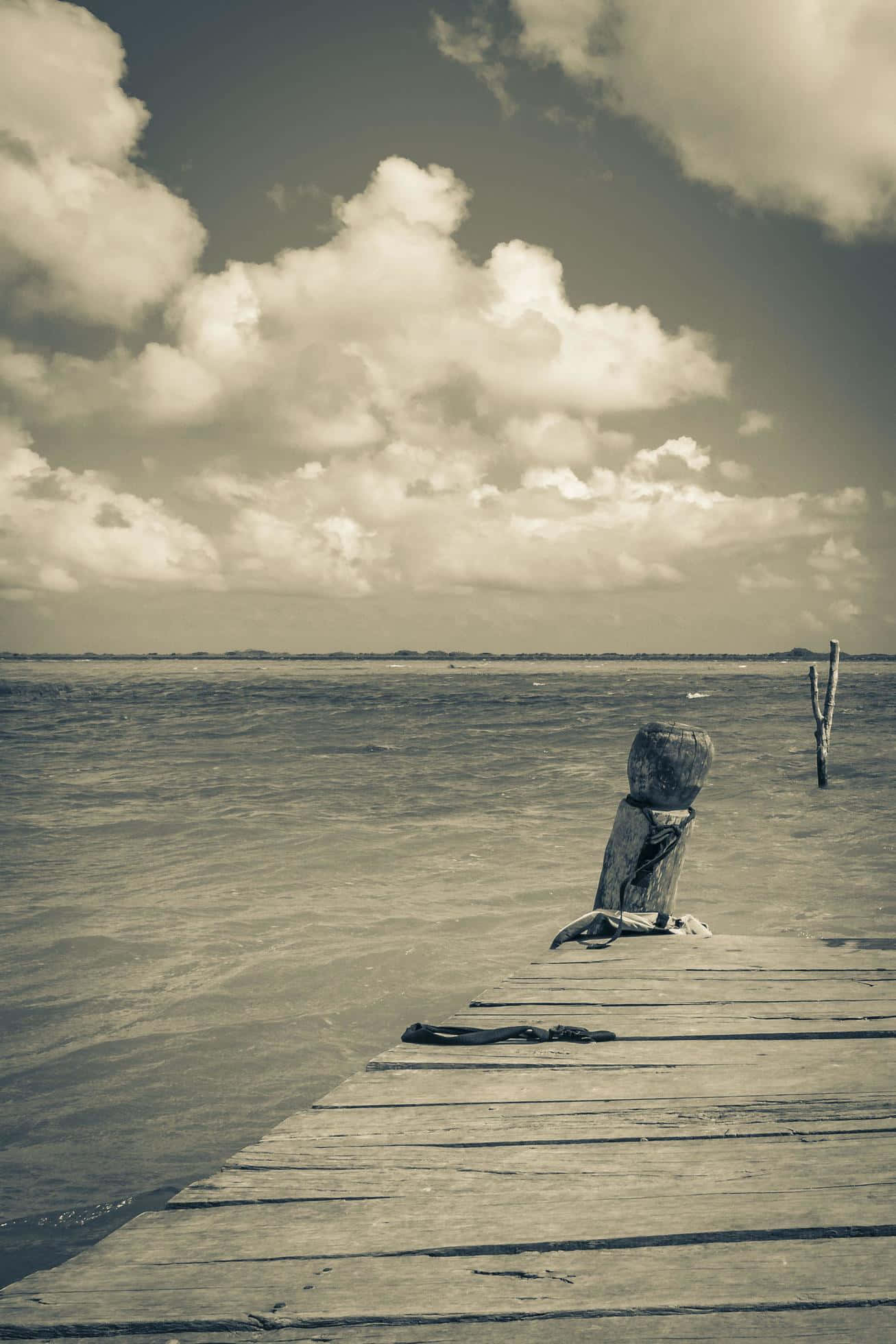 Panorama, 1307 x 1960, wooden pier, Full HD Phone Wallpaper