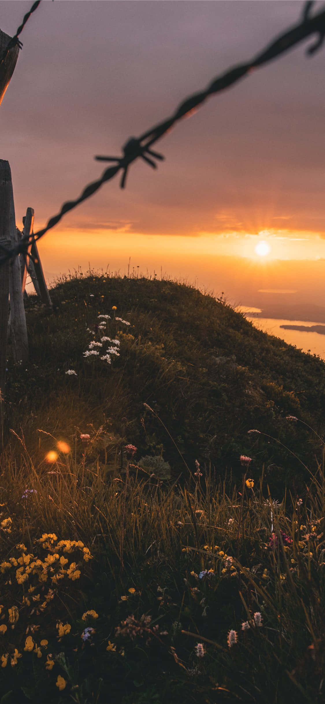Panorama, 1125 x 2436, golden sunset, Full HD Phone Wallpaper
