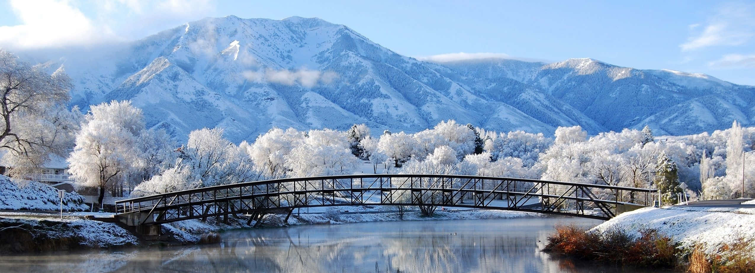 snow-covered arched bridge, calm river, frost-laden trees, Full HD Desktop Wallpaper