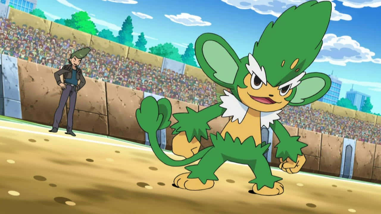 Pansage, Pokémon battle, stadium, HD Desktop Wallpaper