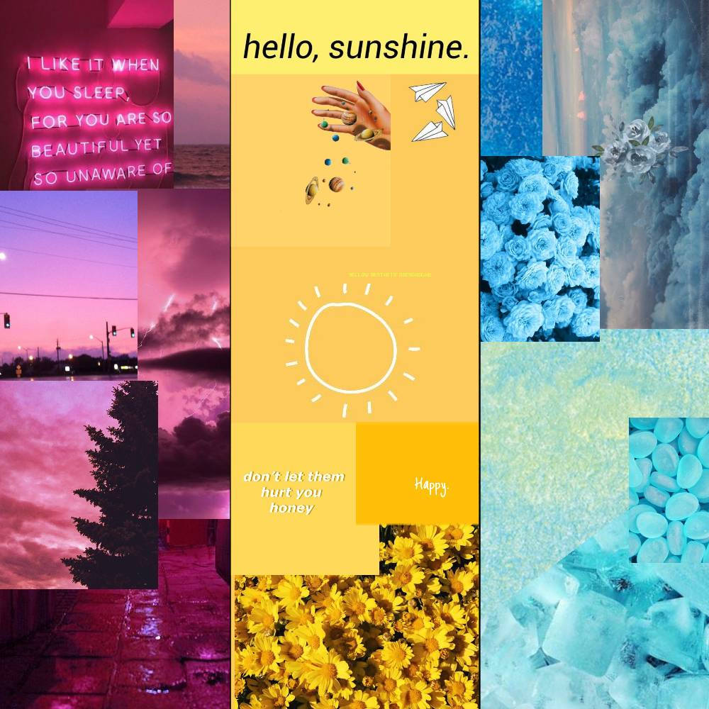 pansexual, pink, purple, SD Desktop Wallpaper