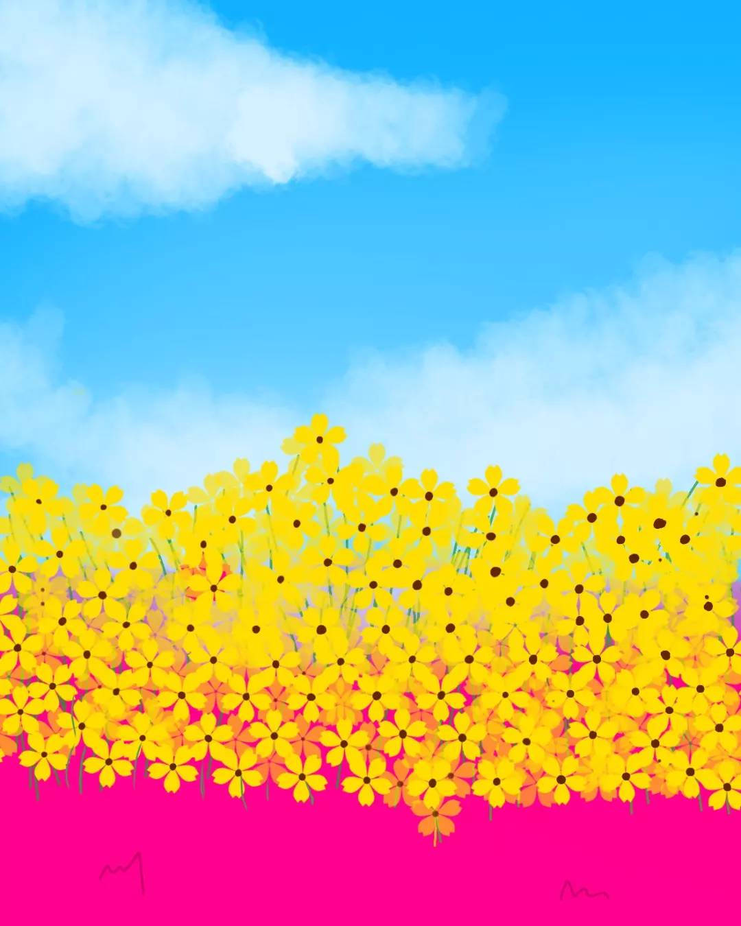 pansexual, yellow flowers, pink field, HD Phone Wallpaper