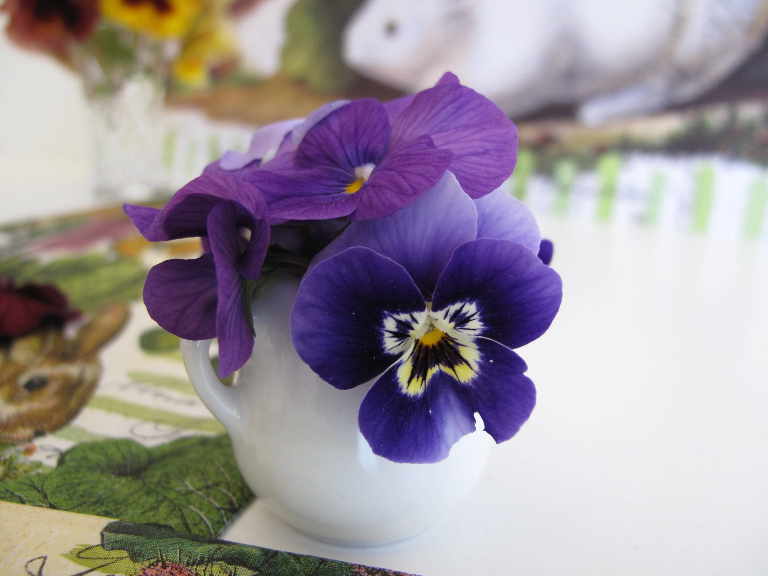 purple pansy, white vase, white ceramic cup, Full HD Desktop Wallpaper