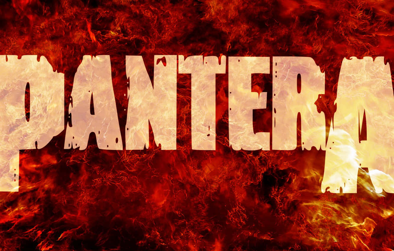 Pantera, flames, black background, HD Desktop Wallpaper