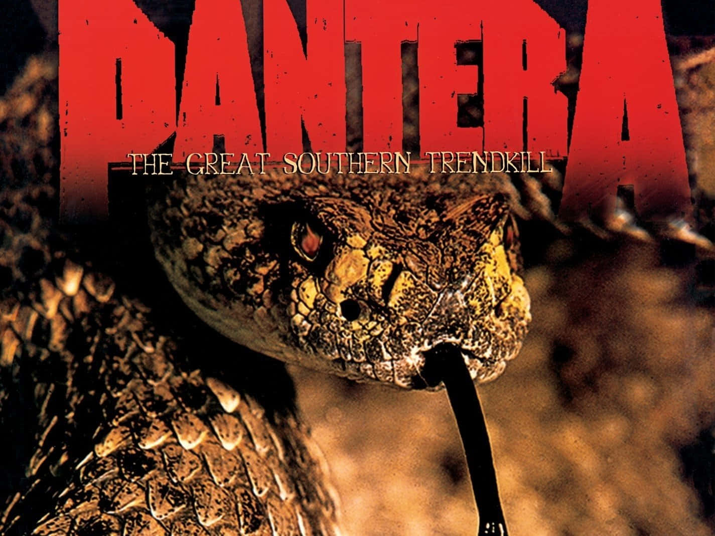 Pantera, rattlesnake, glowing eyes, HD Desktop Wallpaper