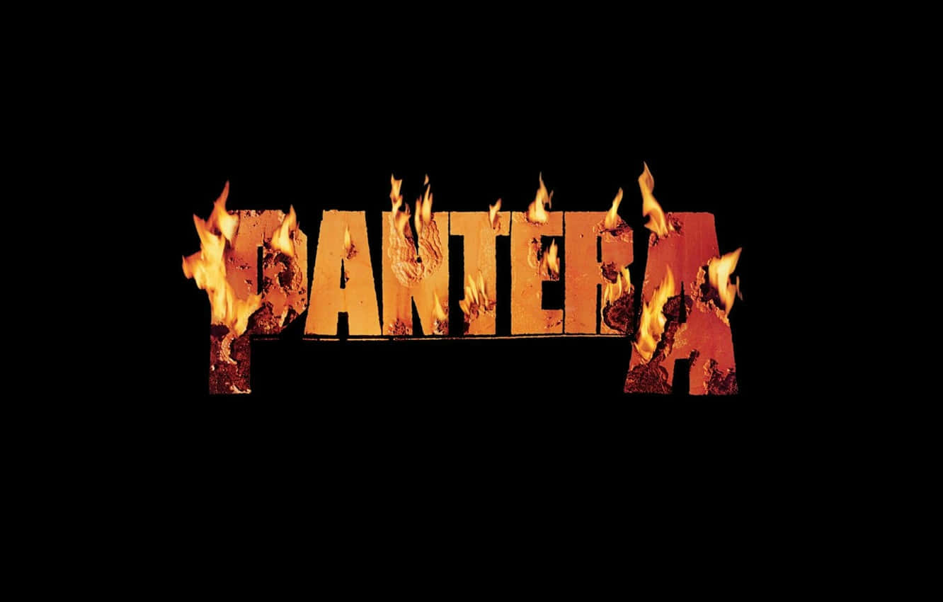 Pantera, fiery orange flames, stark black background, HD Desktop Wallpaper