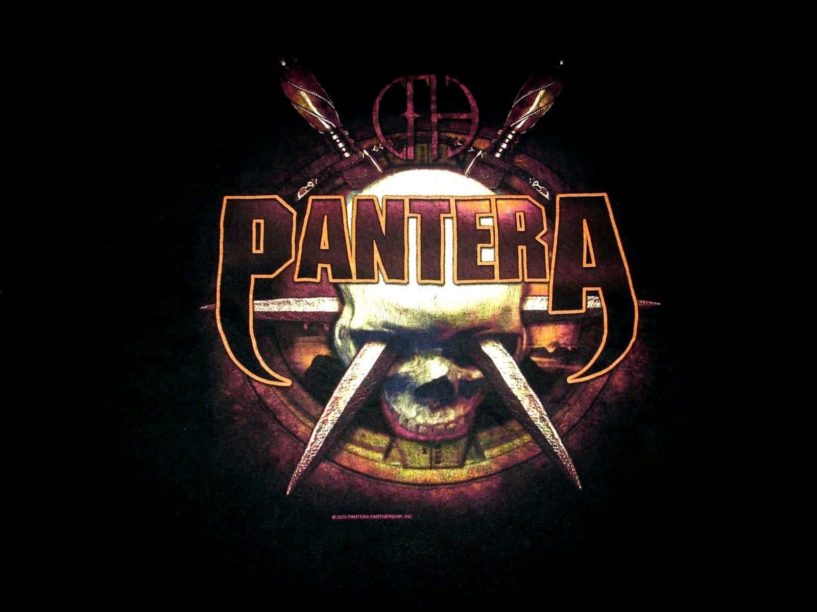 Pantera, skull, crossed swords, HD Desktop Wallpaper