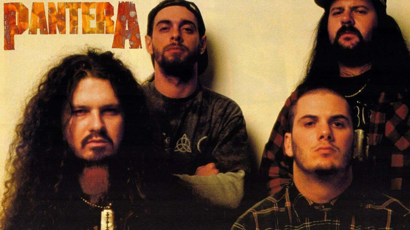 Pantera, heavy metal, long hair, HD Desktop Wallpaper