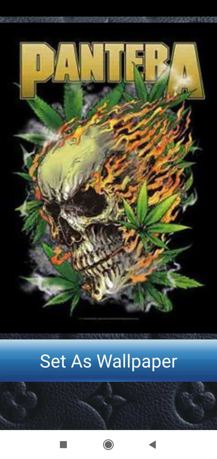 Pantera, flaming skull, marijuana leaves, HD Phone Wallpaper