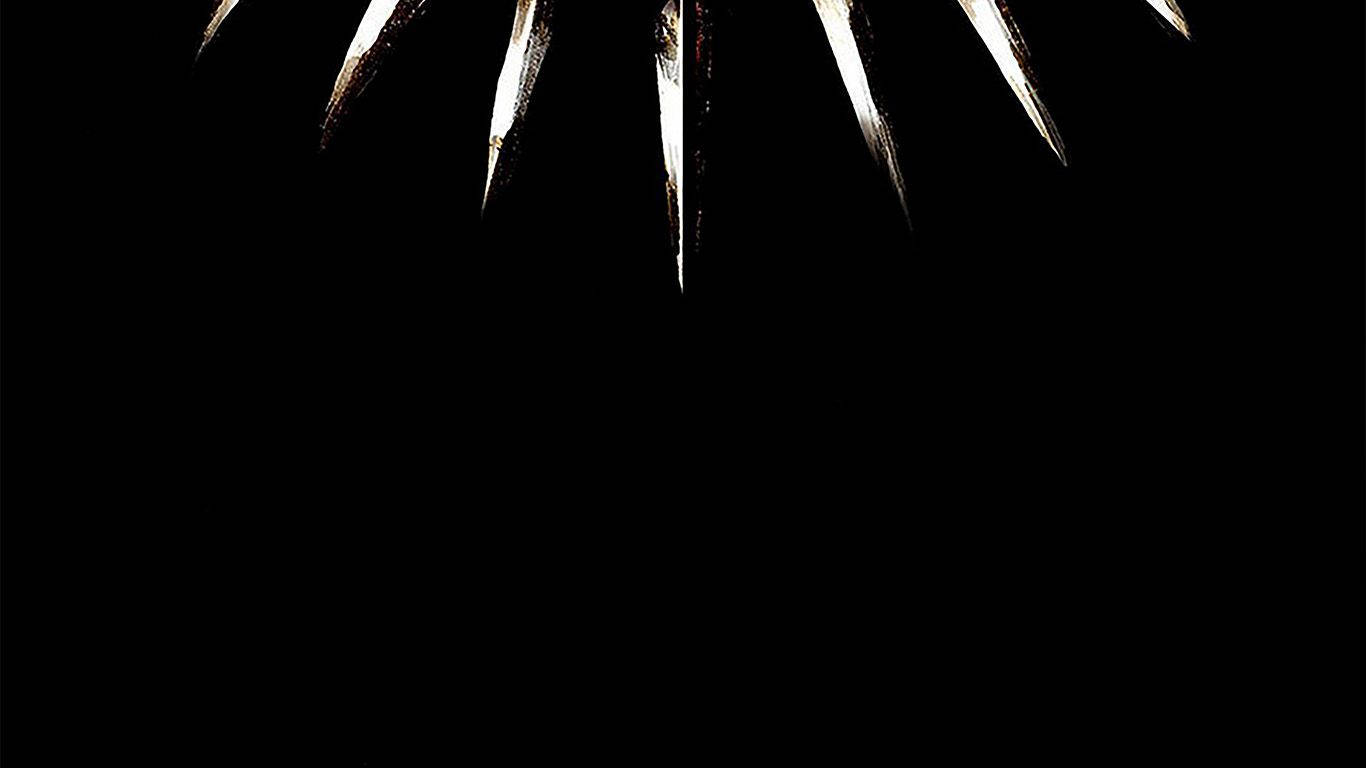Black Panther, claw necklace, pitch black background, HD Desktop Wallpaper