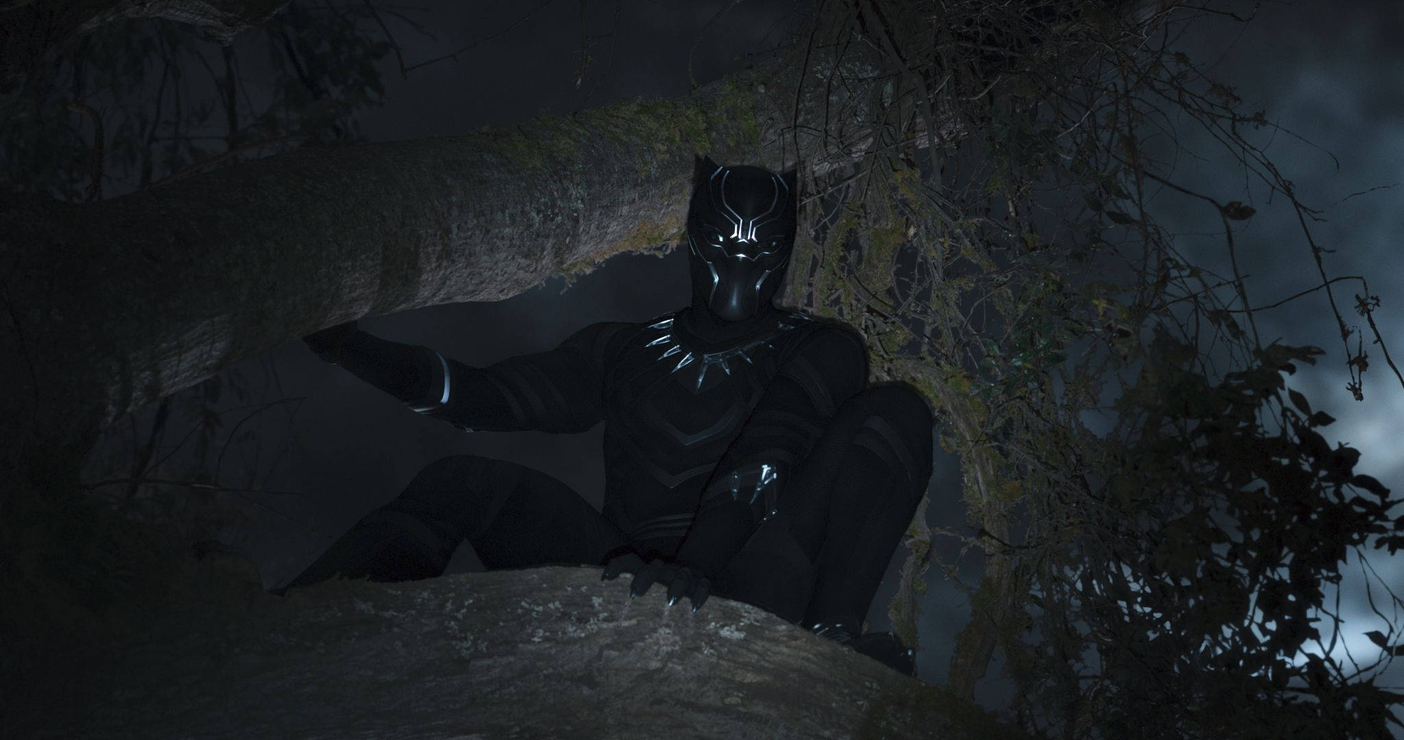 Black Panther, dark tree hollow, stormy night sky, Full HD Desktop Wallpaper