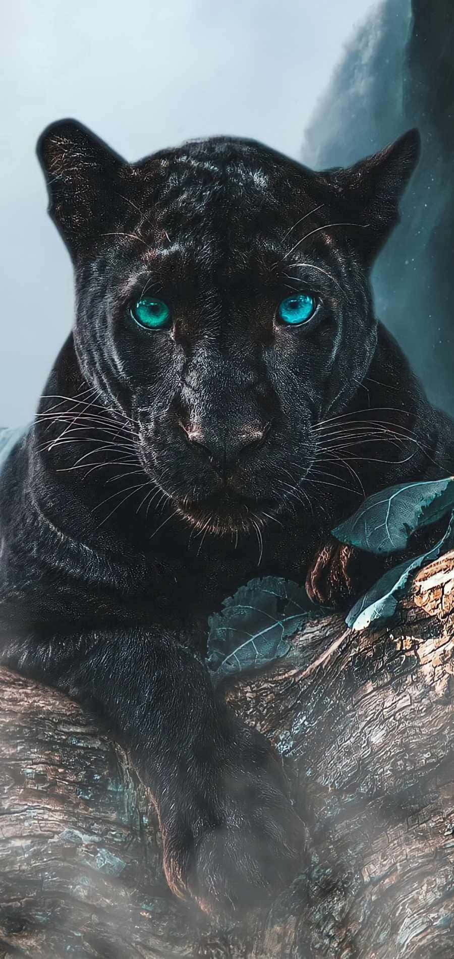black panther, glowing turquoise eyes, mossy tree branch, HD Phone Wallpaper