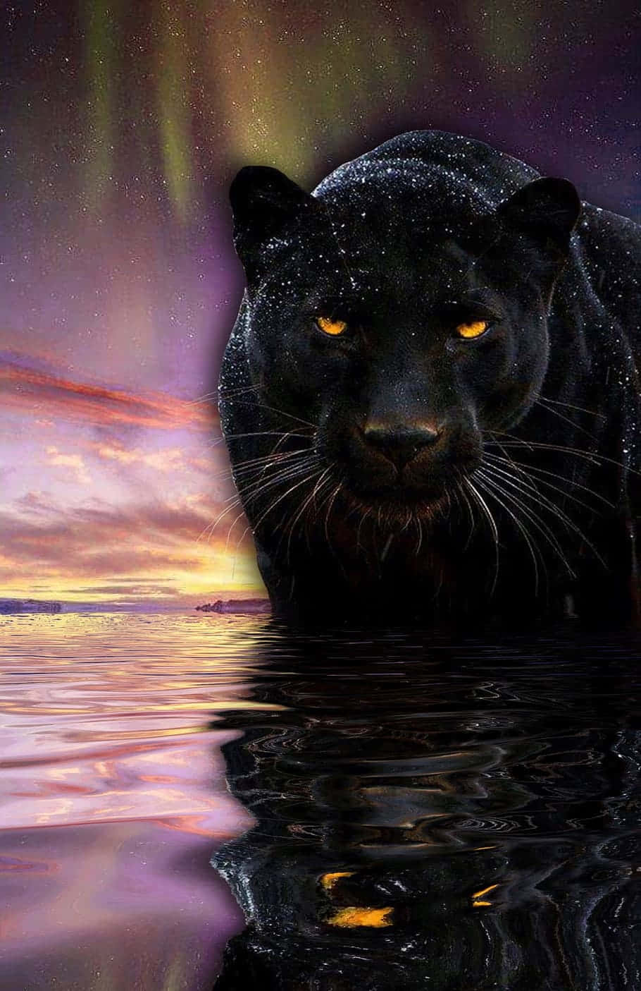 cool black panther, glowing amber eyes, vibrant aurora sky, HD Phone Wallpaper