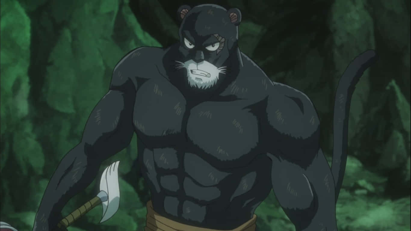 Pantherlily, battle stance, anime, HD Desktop Wallpaper
