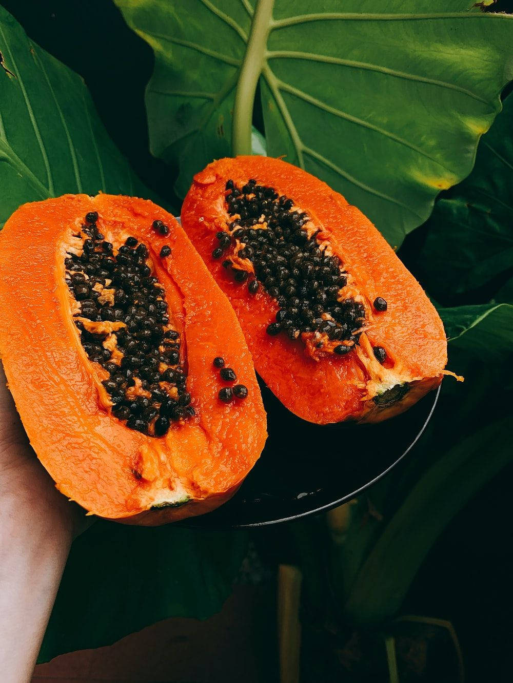 ripe papaya fruits, black seeds, lush green tropical leaves, HD Phone Wallpaper