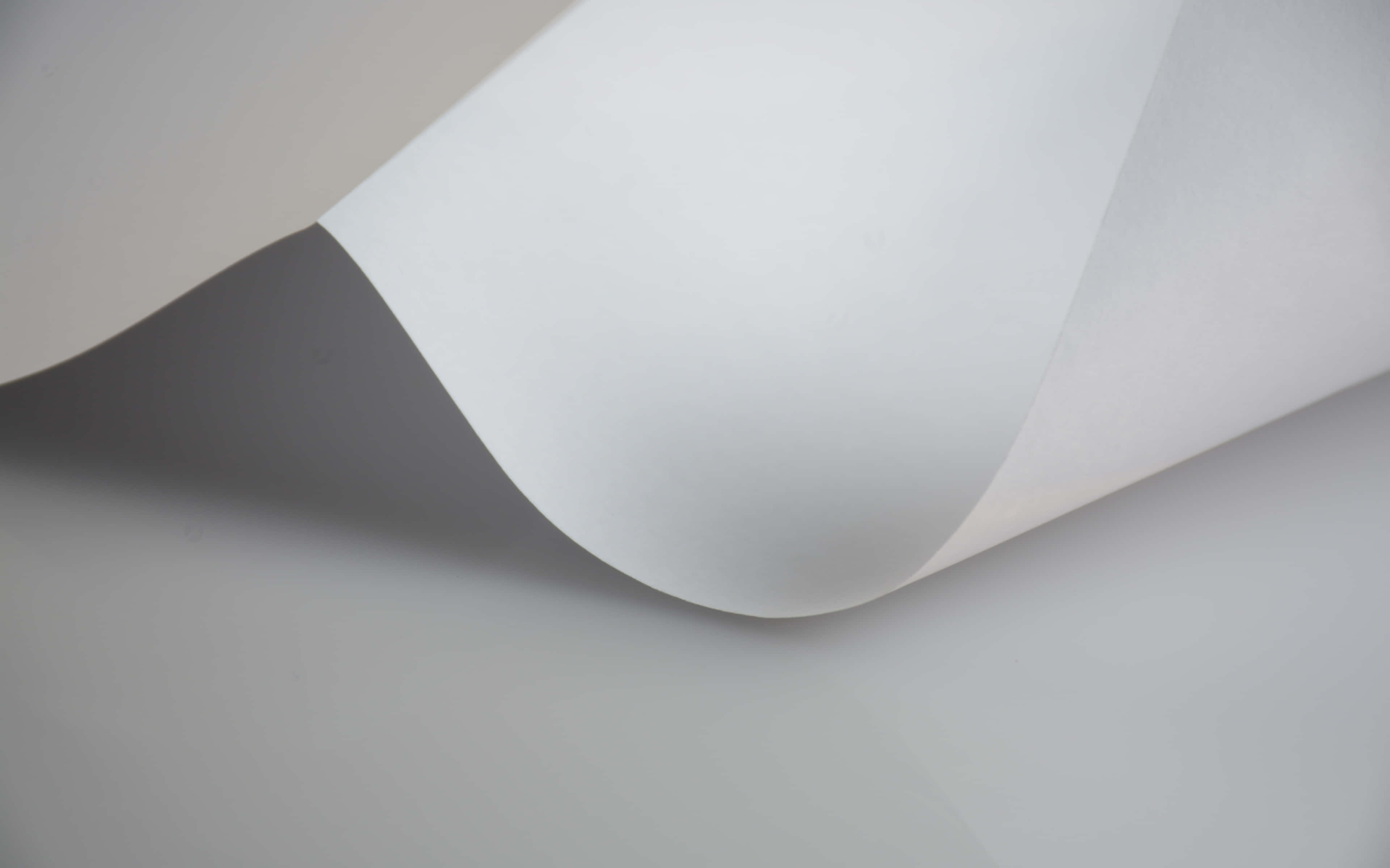 simple minimalist, white paper, soft gray background, 4K Desktop Wallpaper