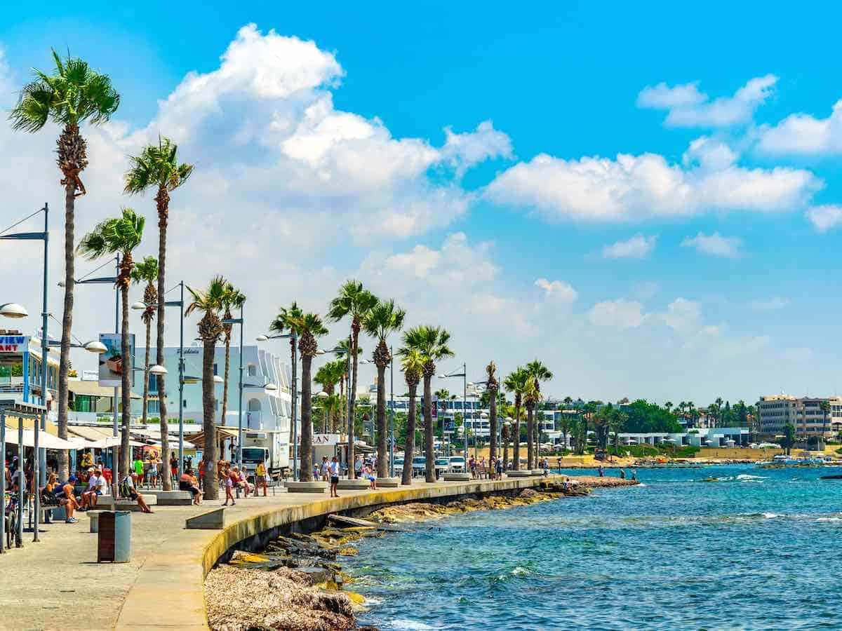 Paphos Beach, sunny coastal promenade, tall palm trees, SD Desktop Wallpaper
