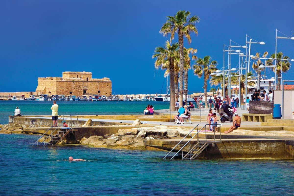 Paphos, turquoise water, palm trees, SD Desktop Wallpaper