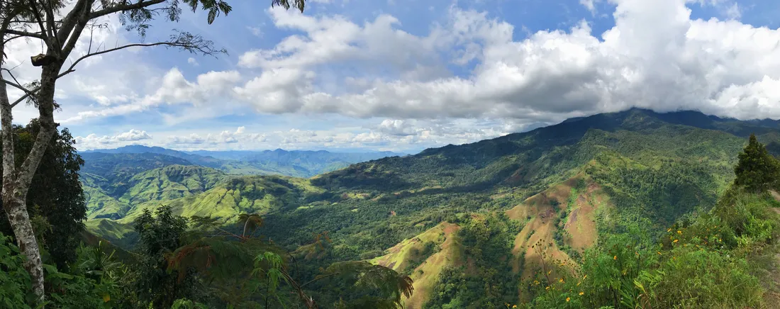 Papua