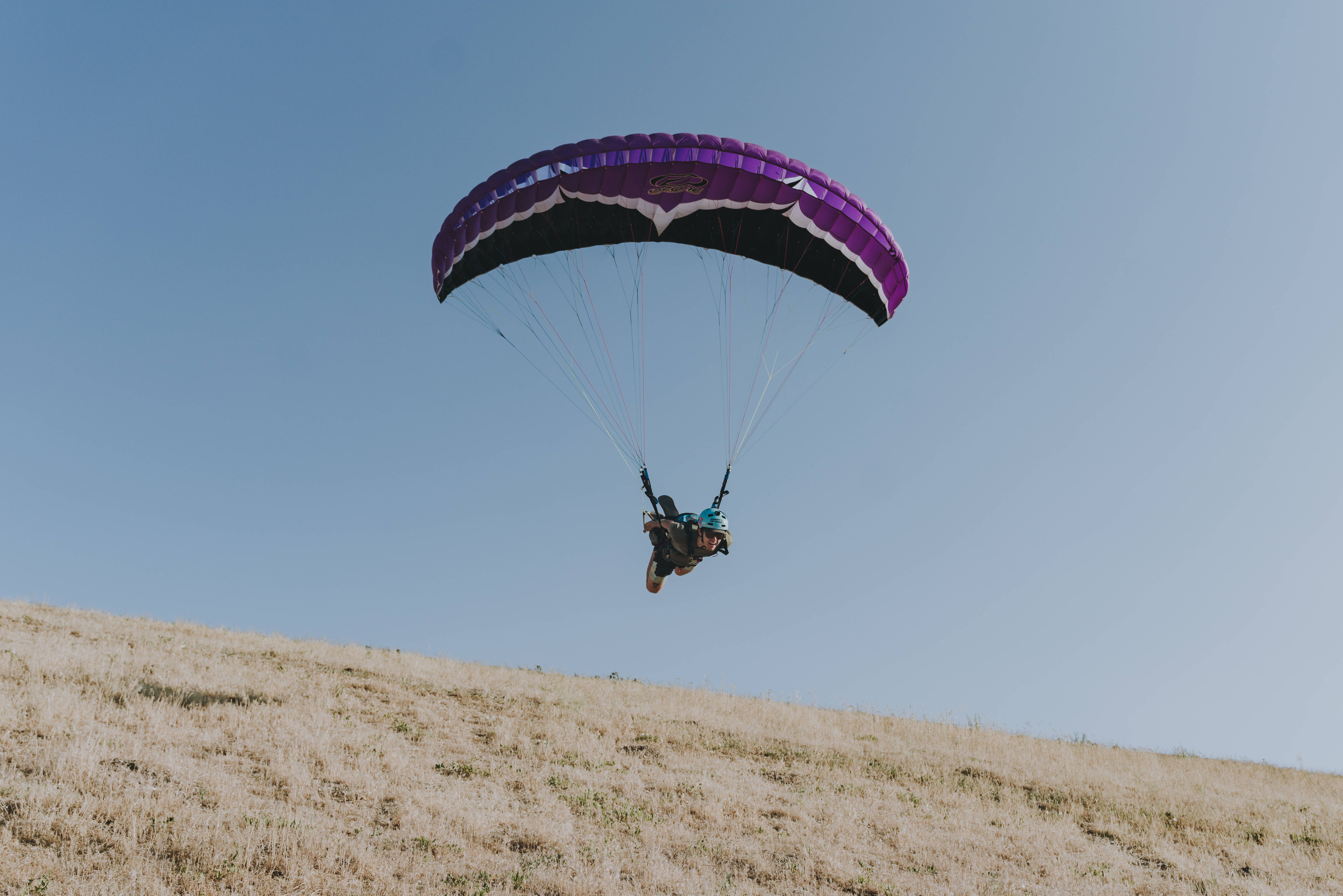 paraglider, purple and black canopy, sunlit grassy hill, 5K Desktop Wallpaper