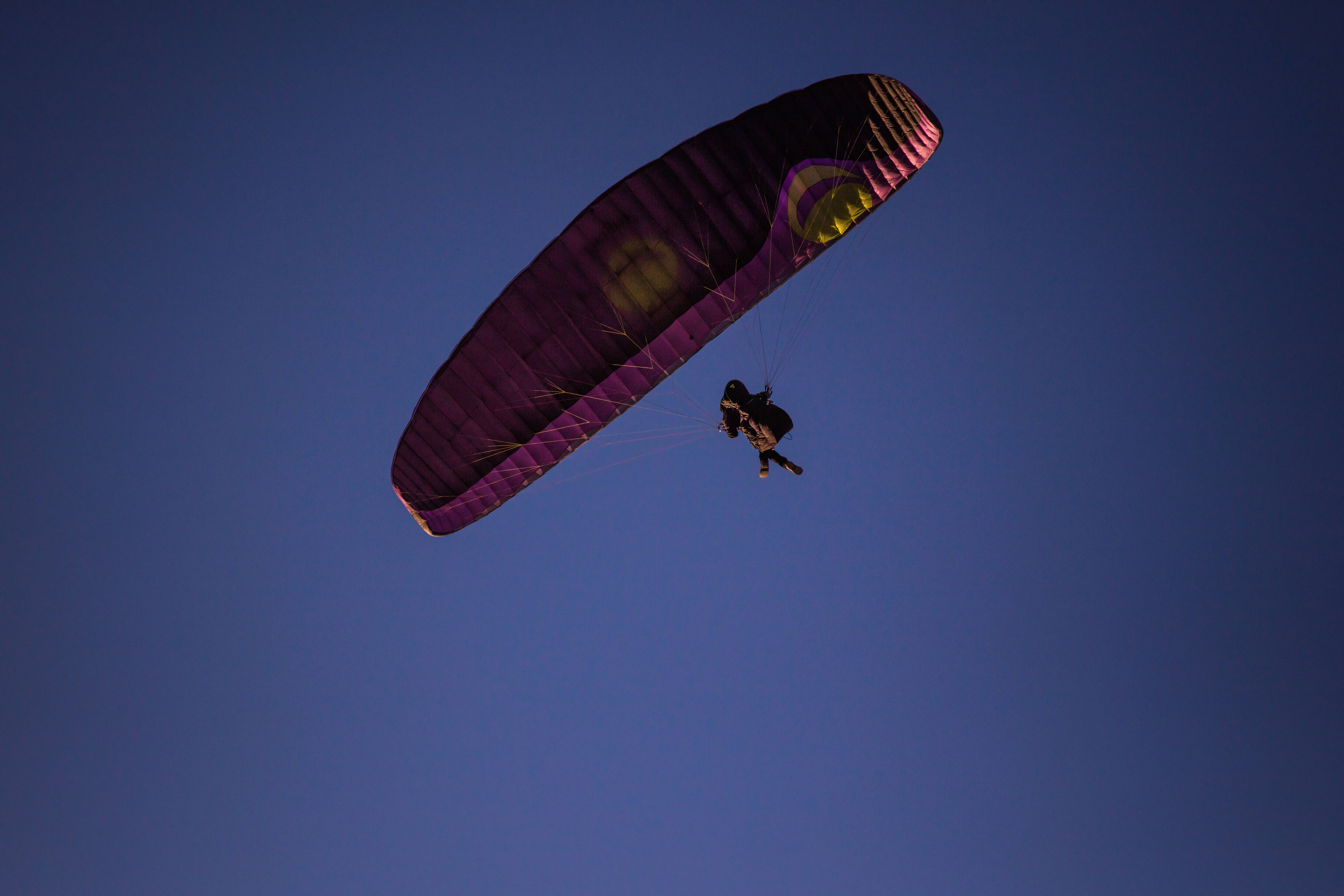 paraglider, purple canopy, yellow logo, 8K Desktop Wallpaper