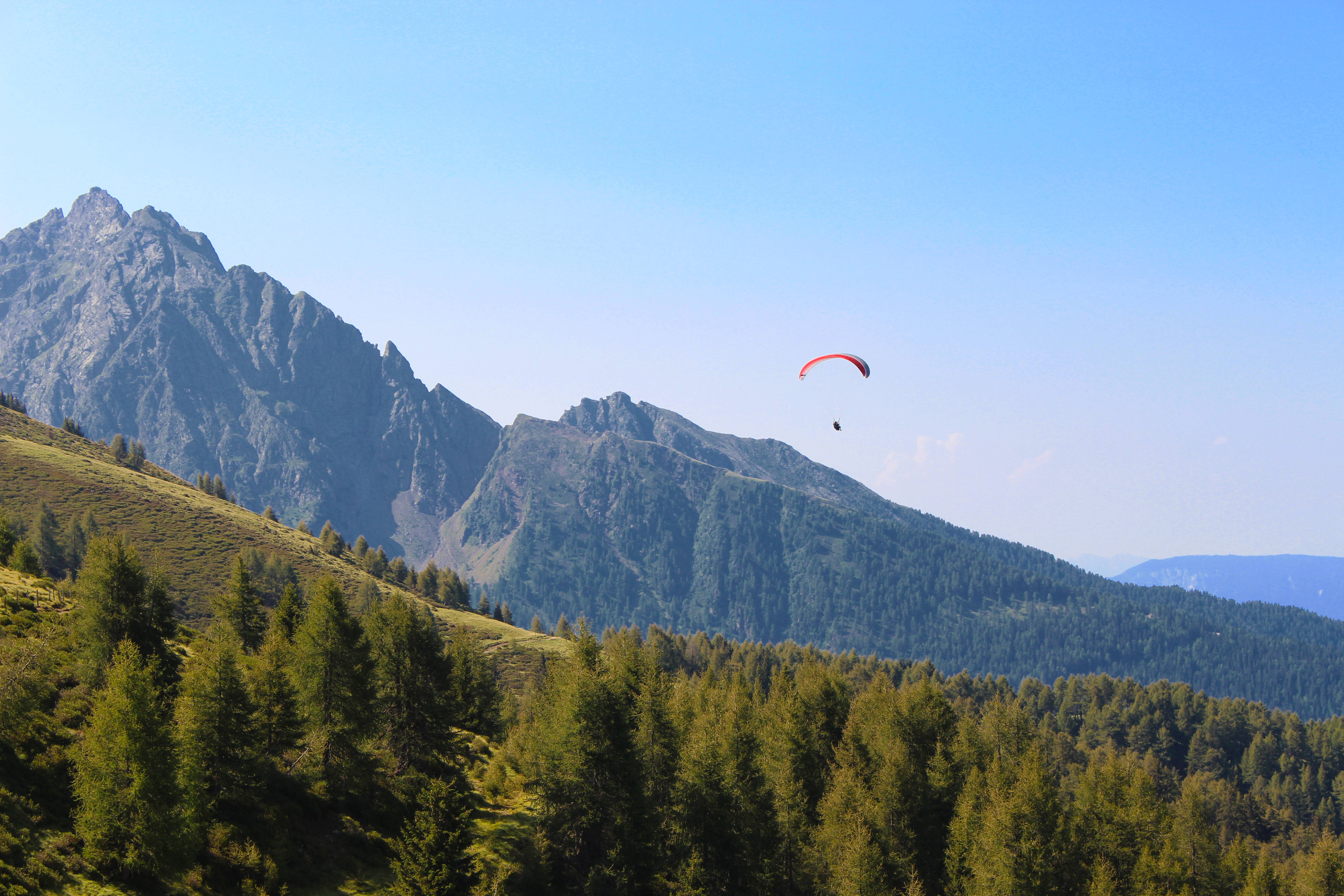 red paraglider, dense pine forest, rugged mountain peaks, 5K Desktop Wallpaper