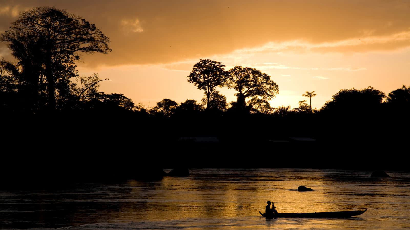 Paramaribo, sunset, silhouette, HD Desktop Wallpaper