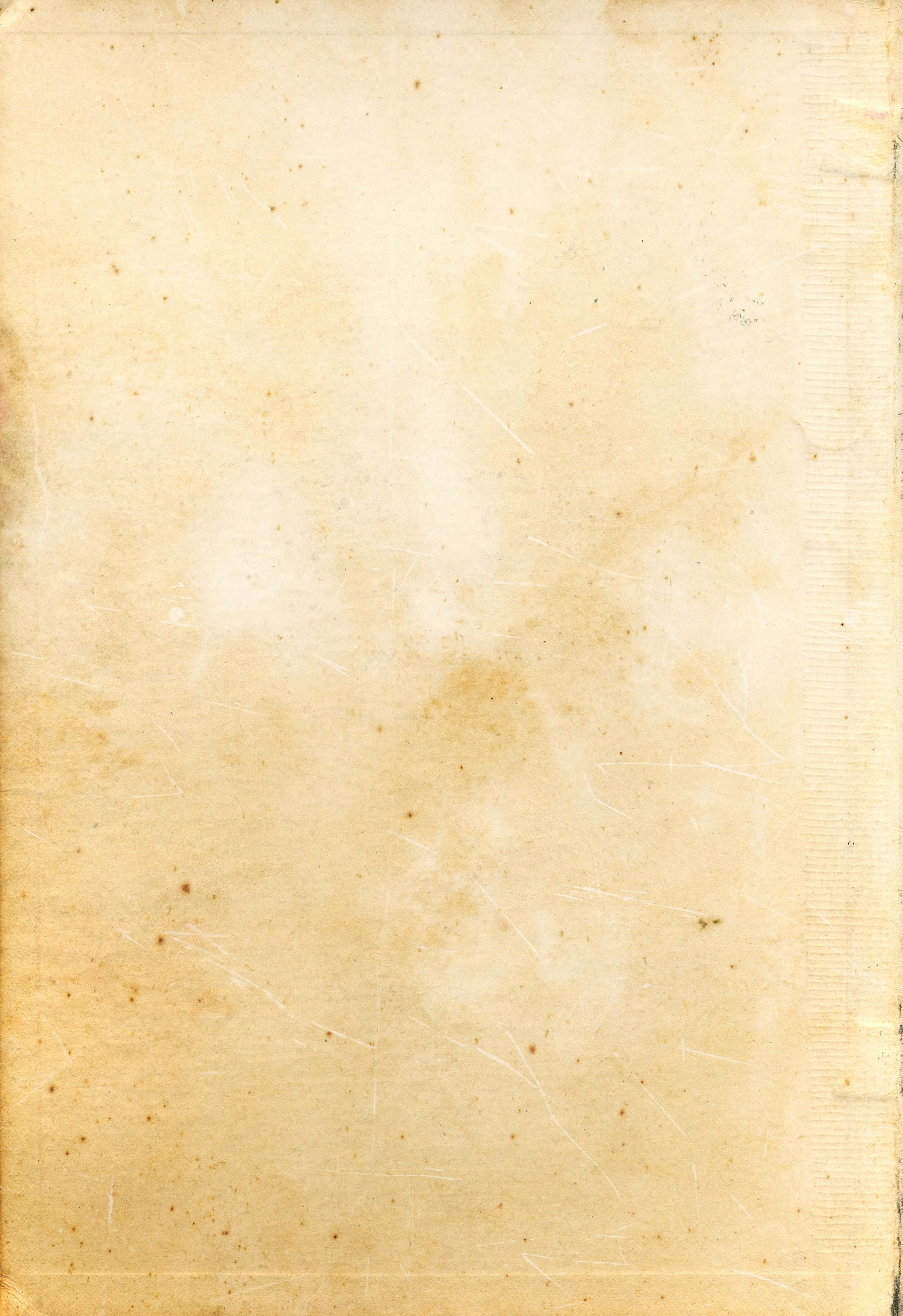 old paper texture, light pink parchment, aged yellowed paper, 2K Phone Wallpaper