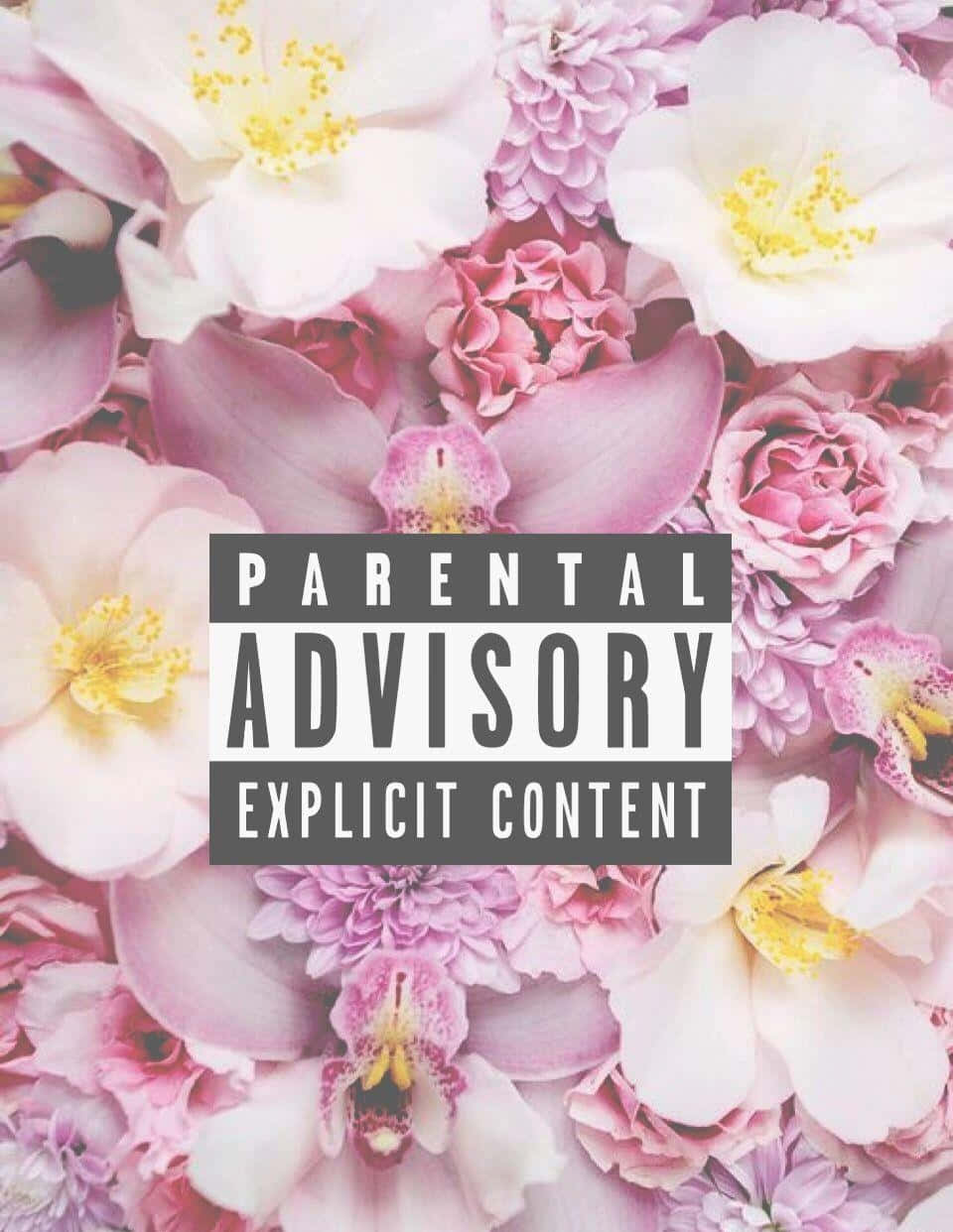 Parental Advisory, floral, pink, SD Phone Wallpaper